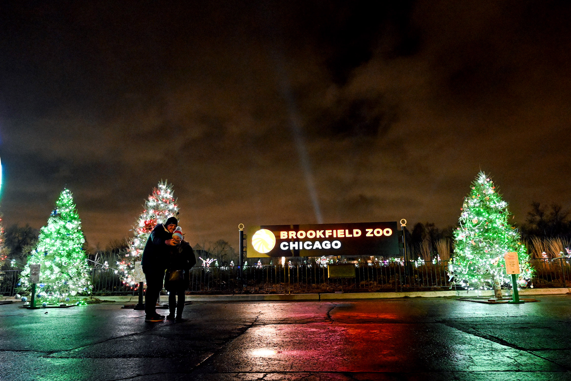 Discover Holiday Magic along Route 66 at Brookfield Zoo – The