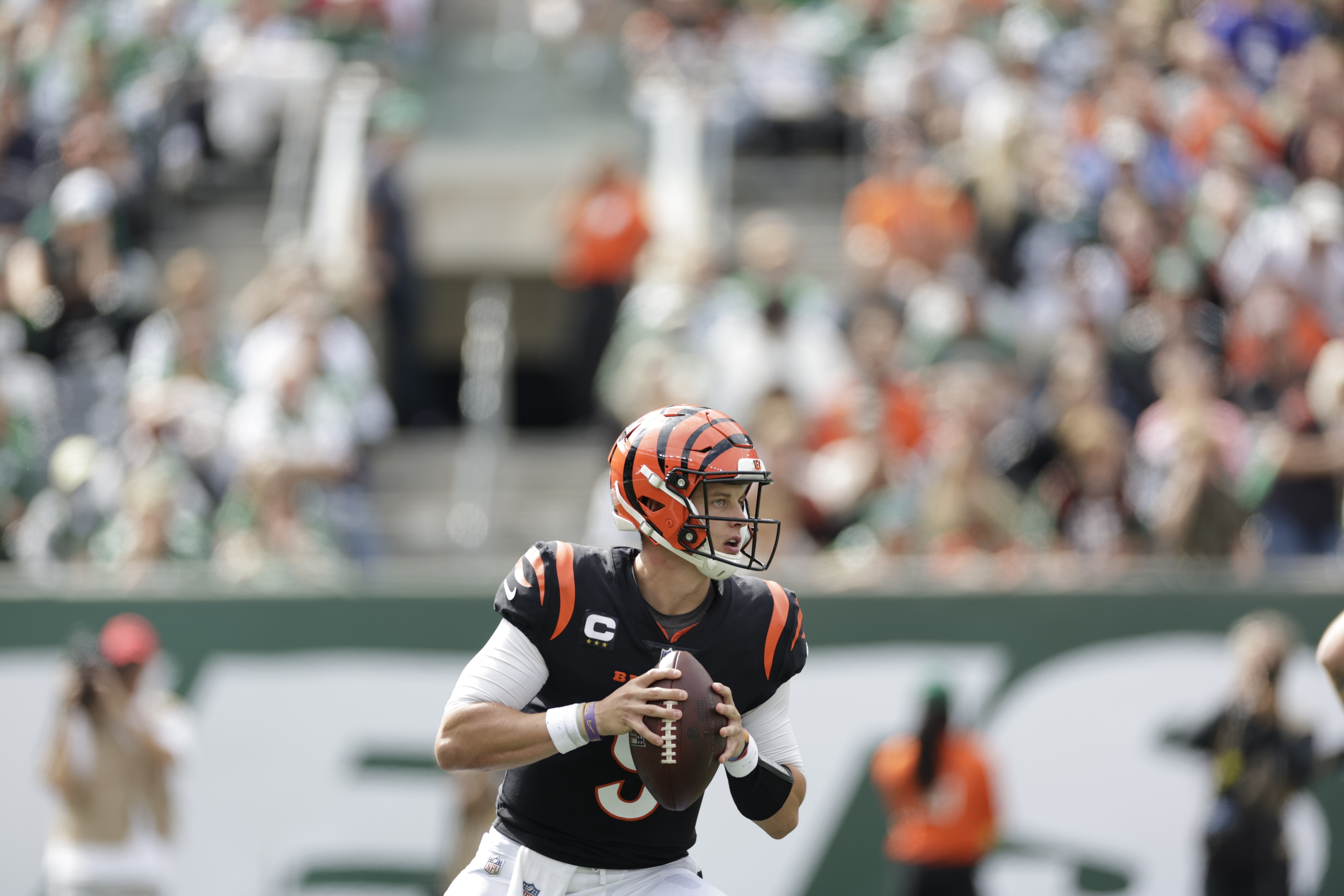 Sunday Night Football betting preview: Best bet for Baltimore Ravens vs.  Cincinnati Bengals – Shaw Local