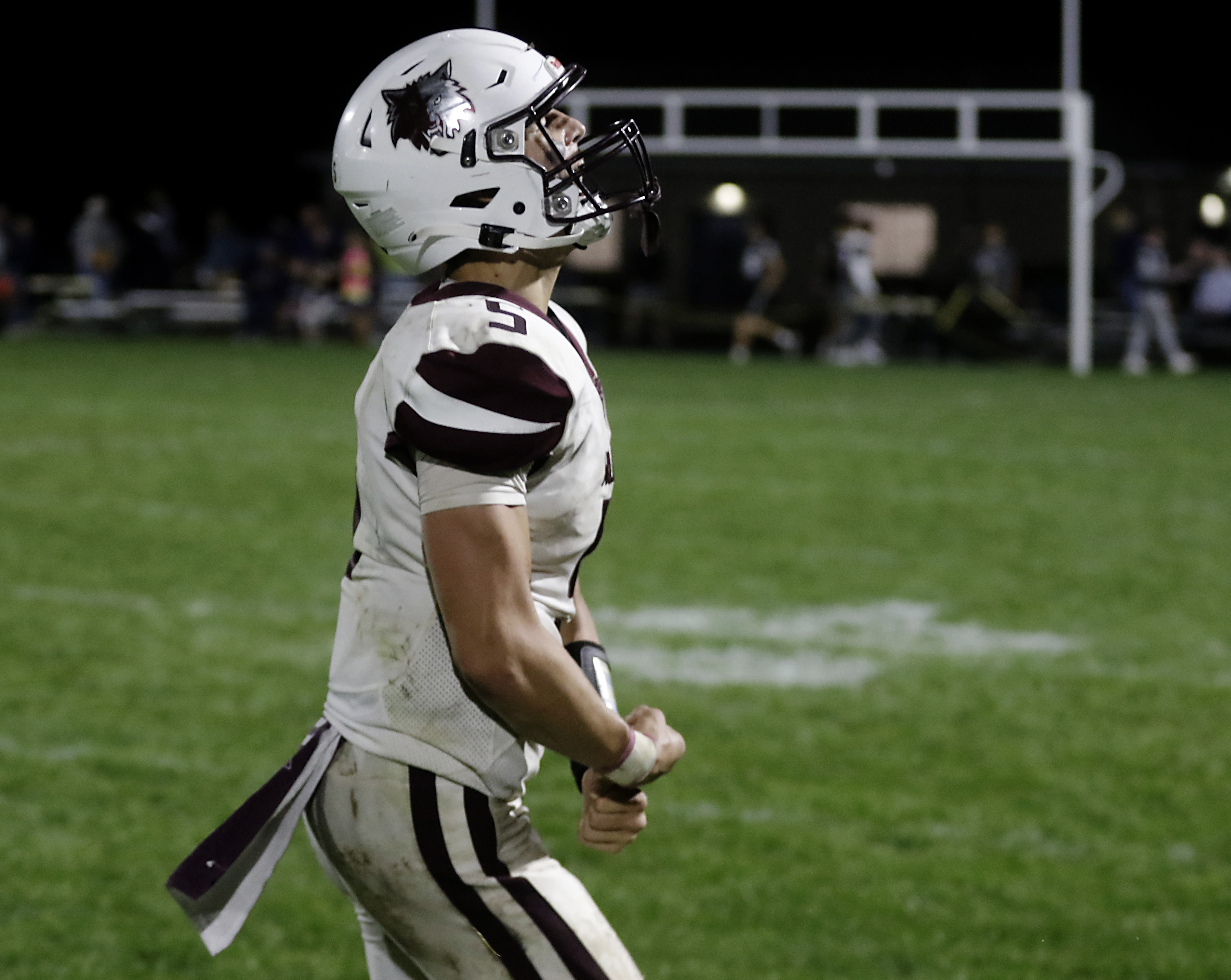 Prairie Ridge's Joseph Vanderwiel prepared to take over at quarterback –  Shaw Local