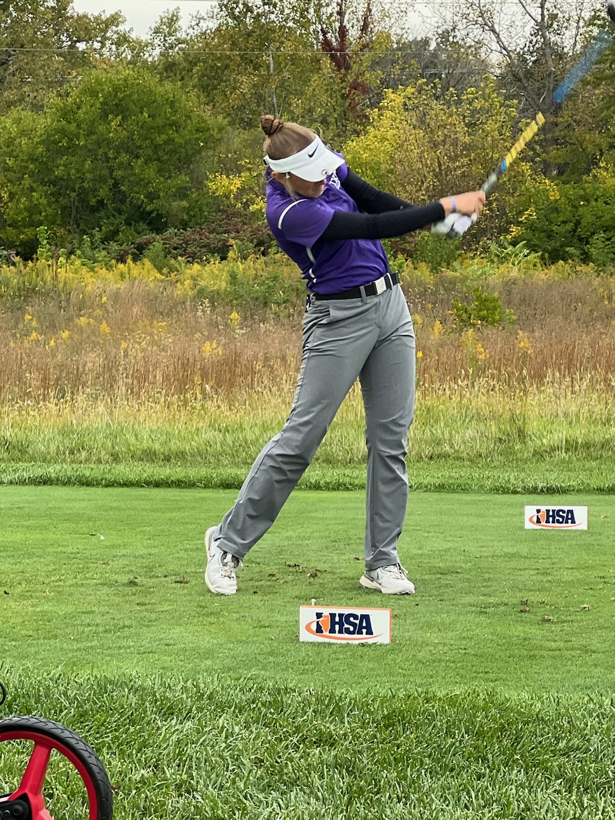 Boys Golf | Sauk Valley News - Shaw Local