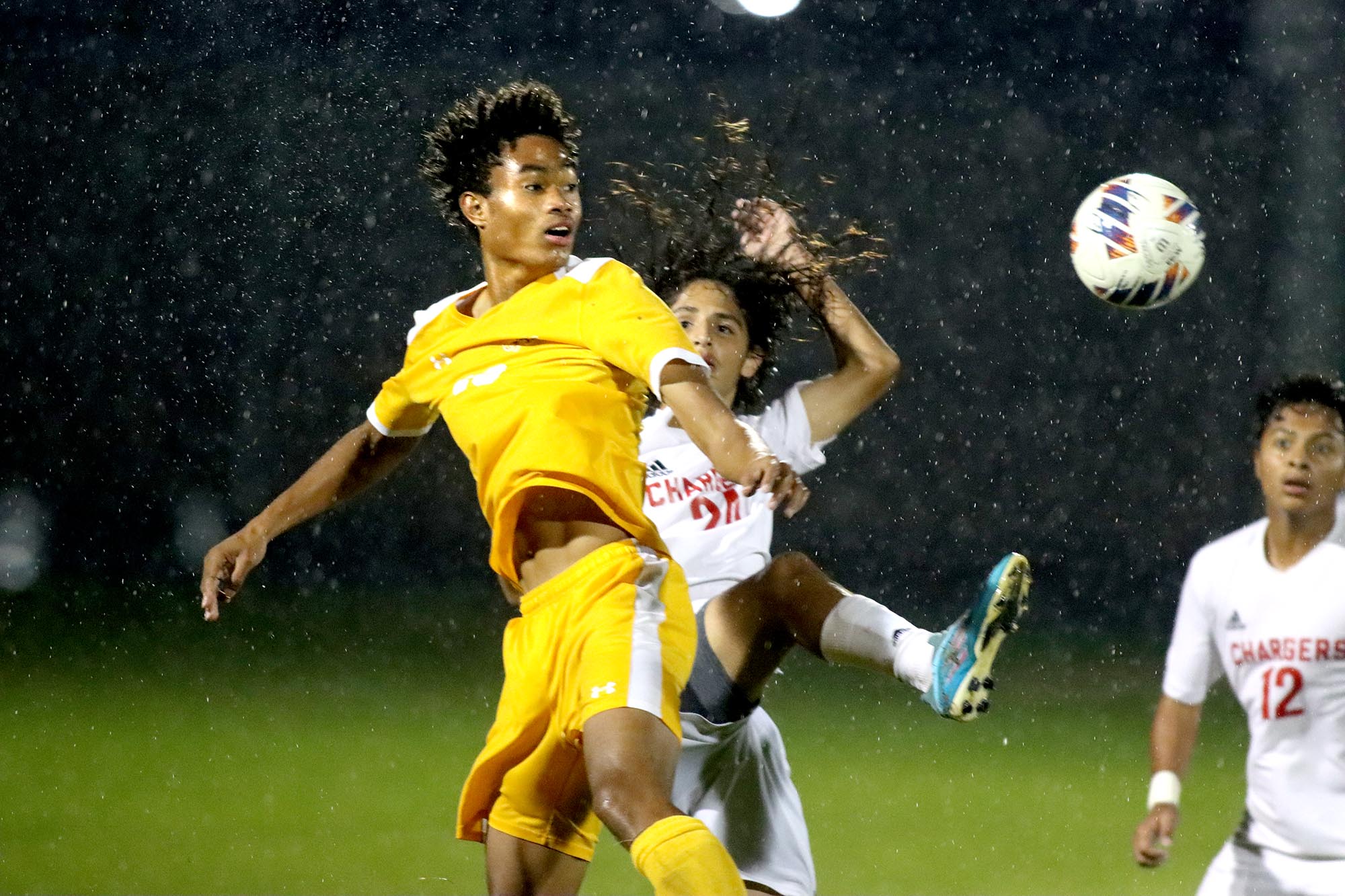 2016 H.S. boys' and girls' soccer preview capsules