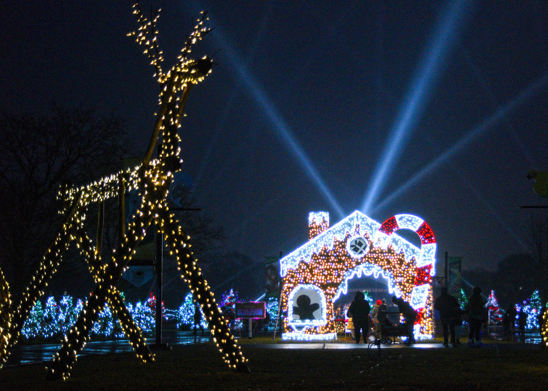 Brookfield Zoo Christmas Lights Hours Shelly Lighting