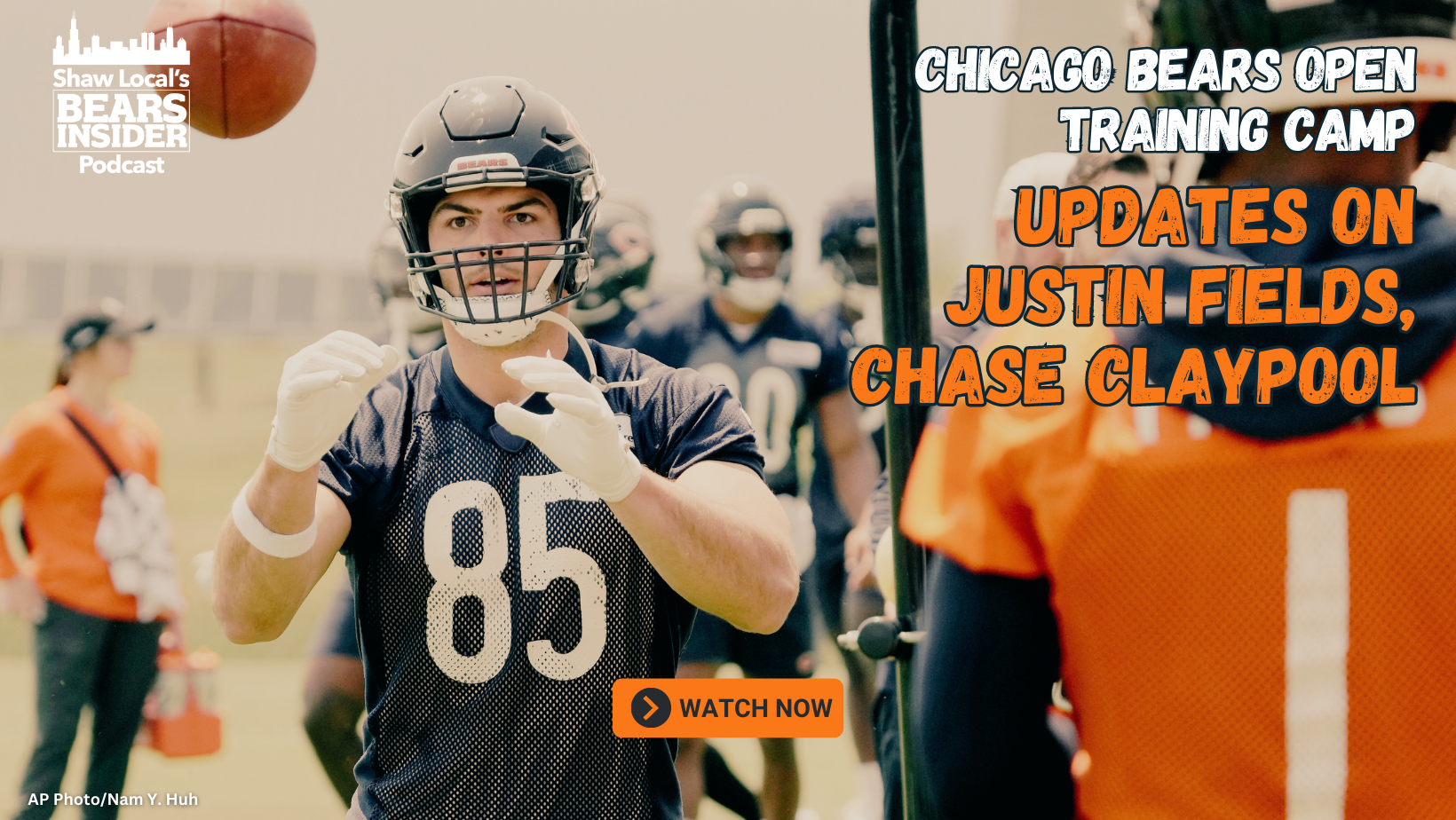 Chicago Bears news, analysis - Shaw Local