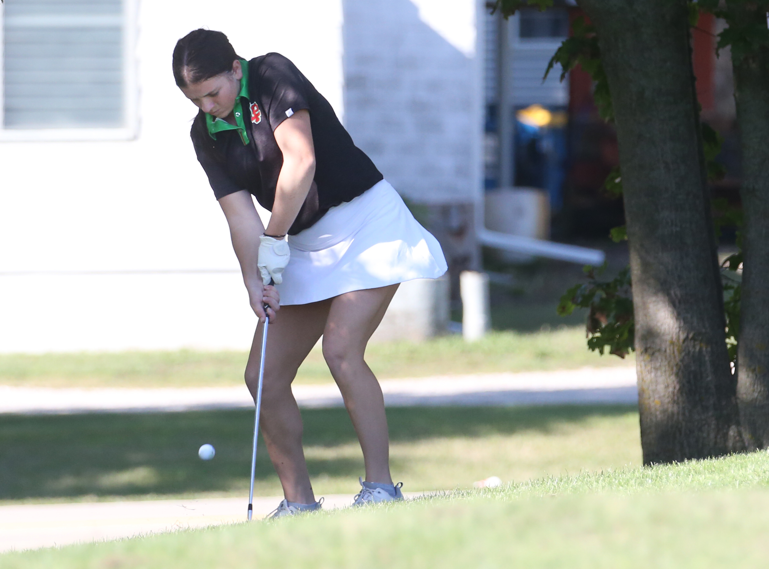 Nofsinger Tees Off on Thome Night - Illinois Central College