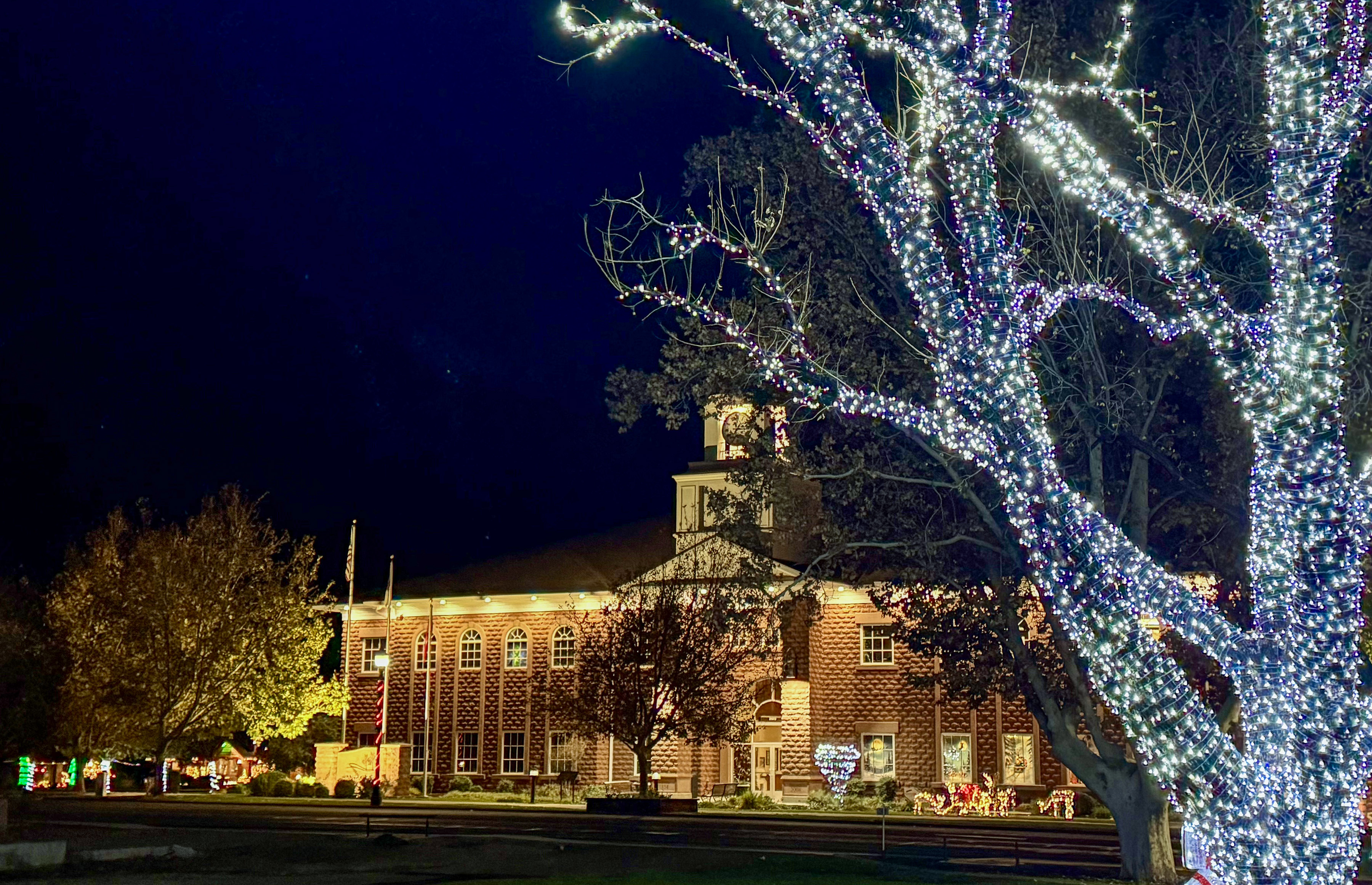 ビルケンシュトック　サンタクラリタ　Santa Clarita 1030802]BIRKENSTOCK(ビルケンシュトック) SANTA CLARITA