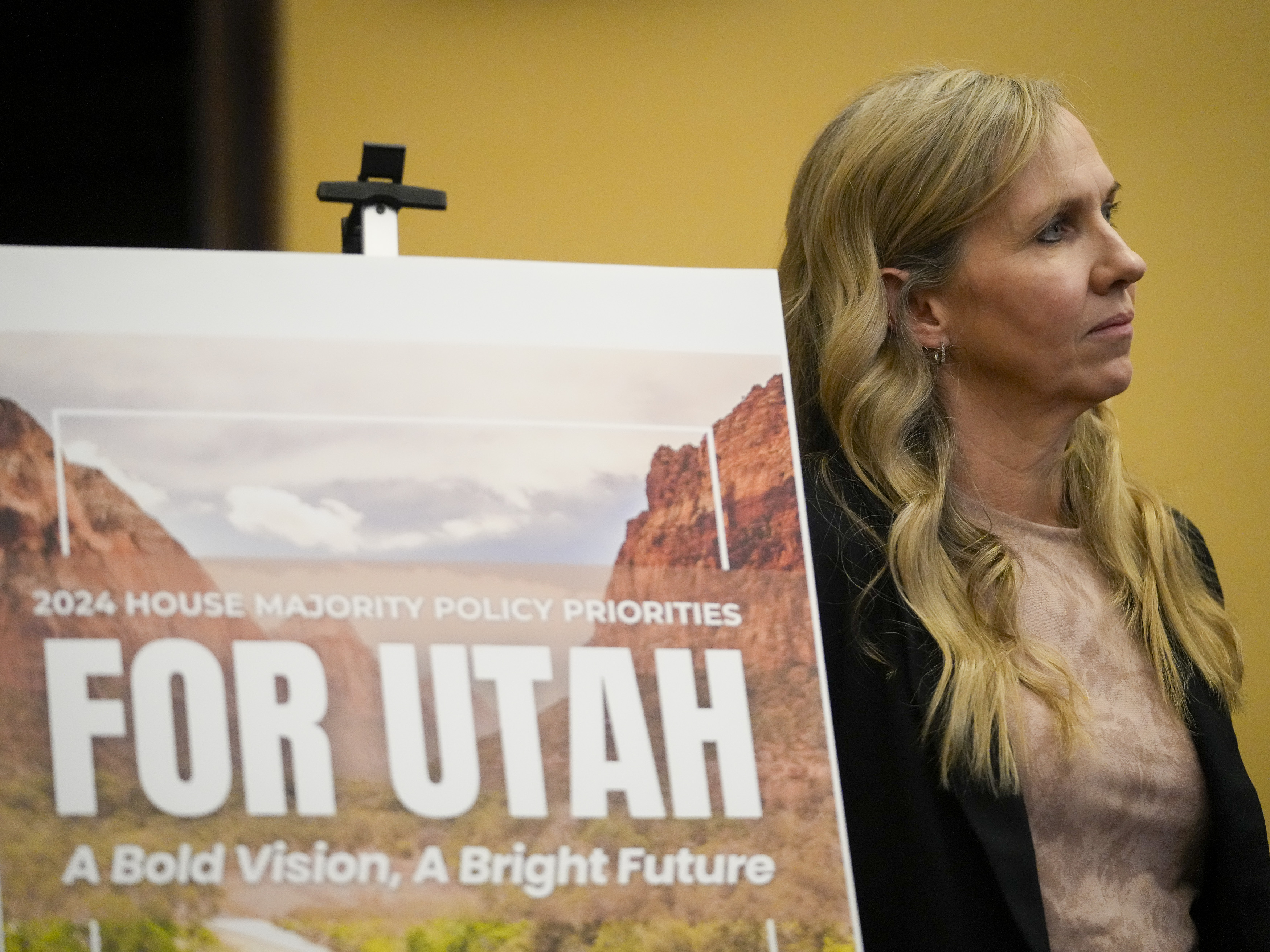 First anti-DEI bill of the Utah legislative session is now public