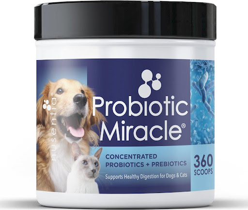 broad spectrum non dairy probiotic for dogs