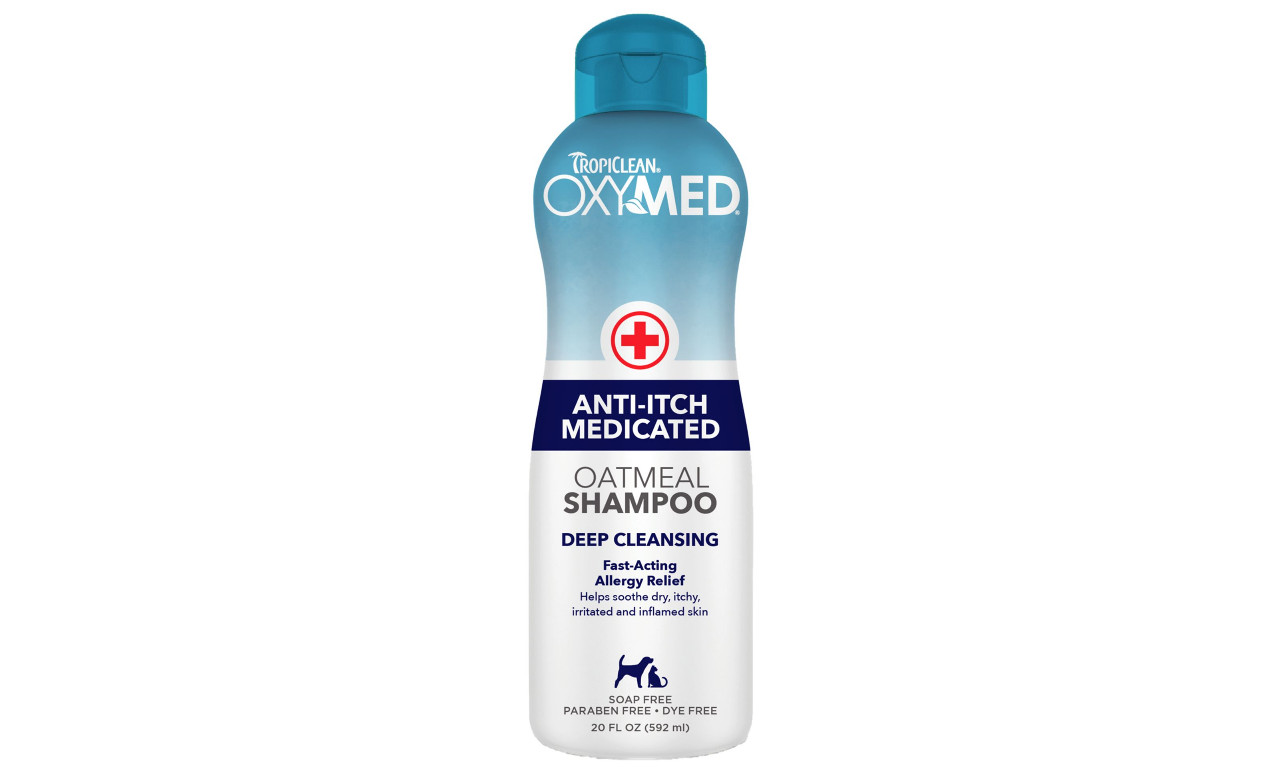 Medicated shampoo deals for itchy dogs