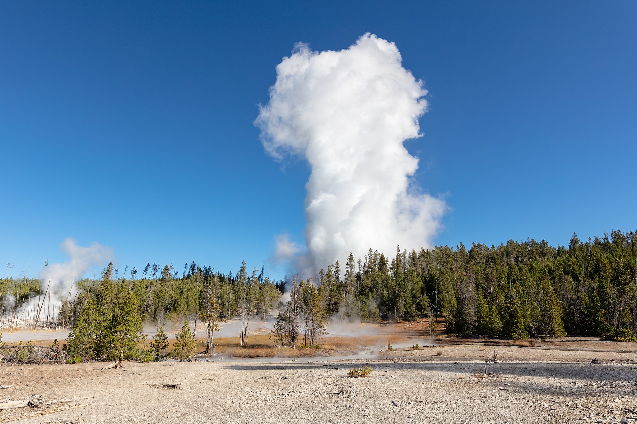 A University of Utah team seeks to understand what makes Yellowstone's  tallest geyser go off
