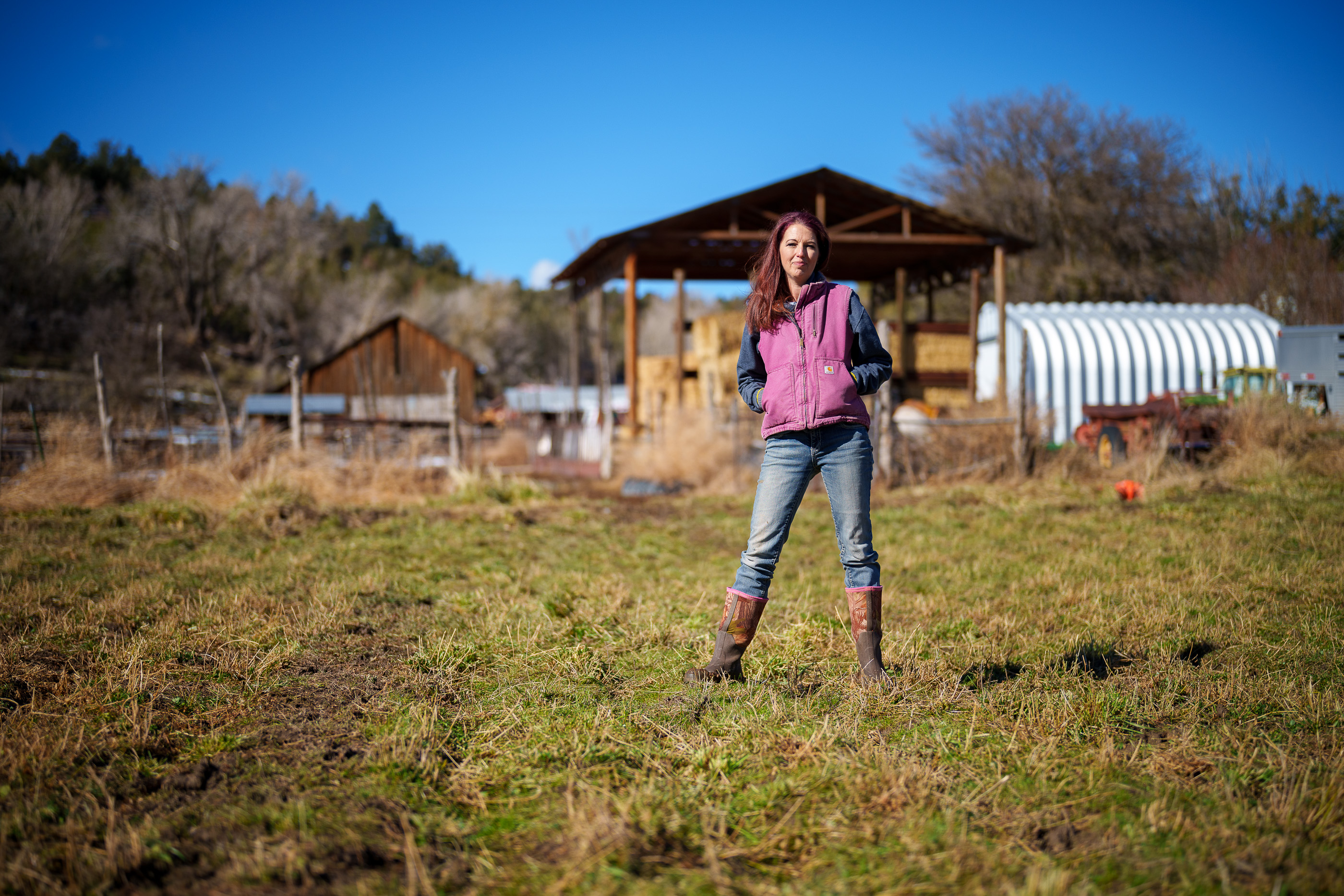 Alfalfa and hay use more than half of Utah s water but also helps