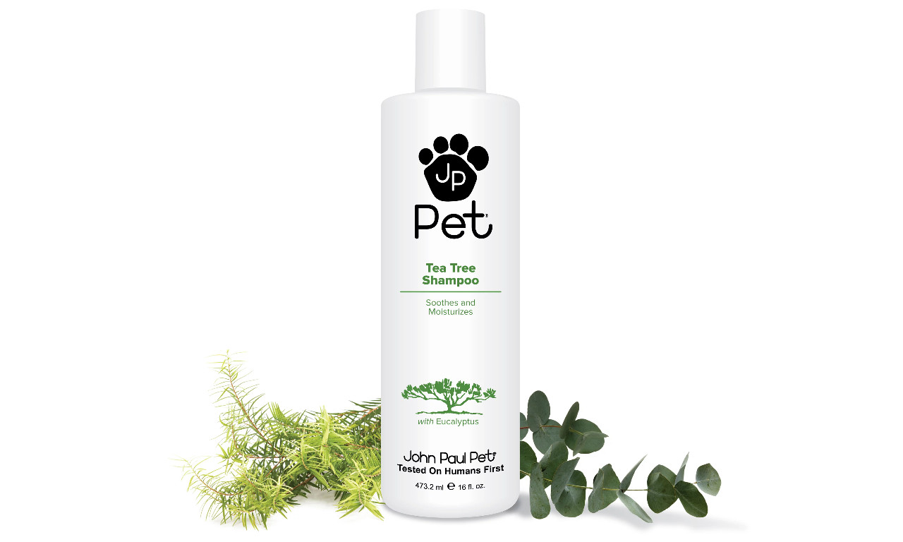 ZESTY PAWS Itch Soother Dog Conditioner with Oatmeal & Aloe Vera, for Skin  Moisture & Shiny Coats 