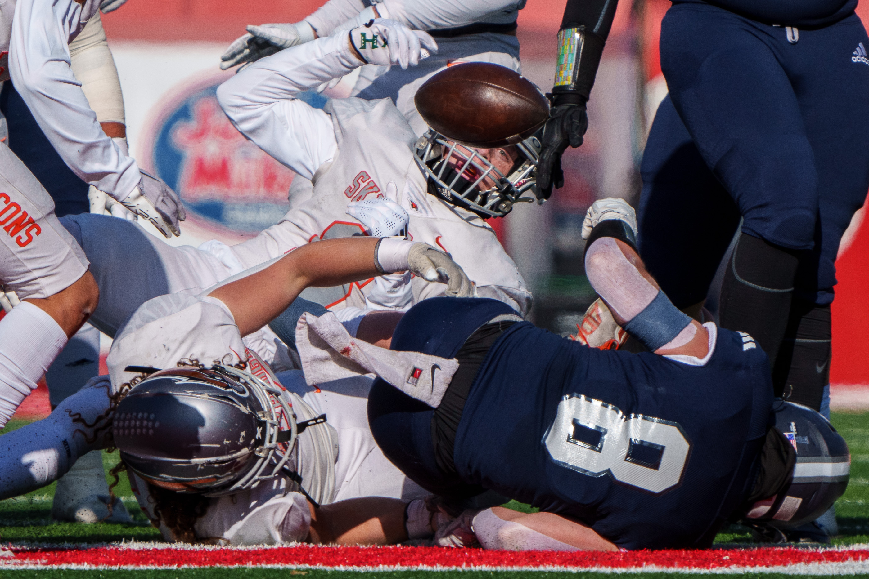 Skyridge Falcons soar to the first football state championship