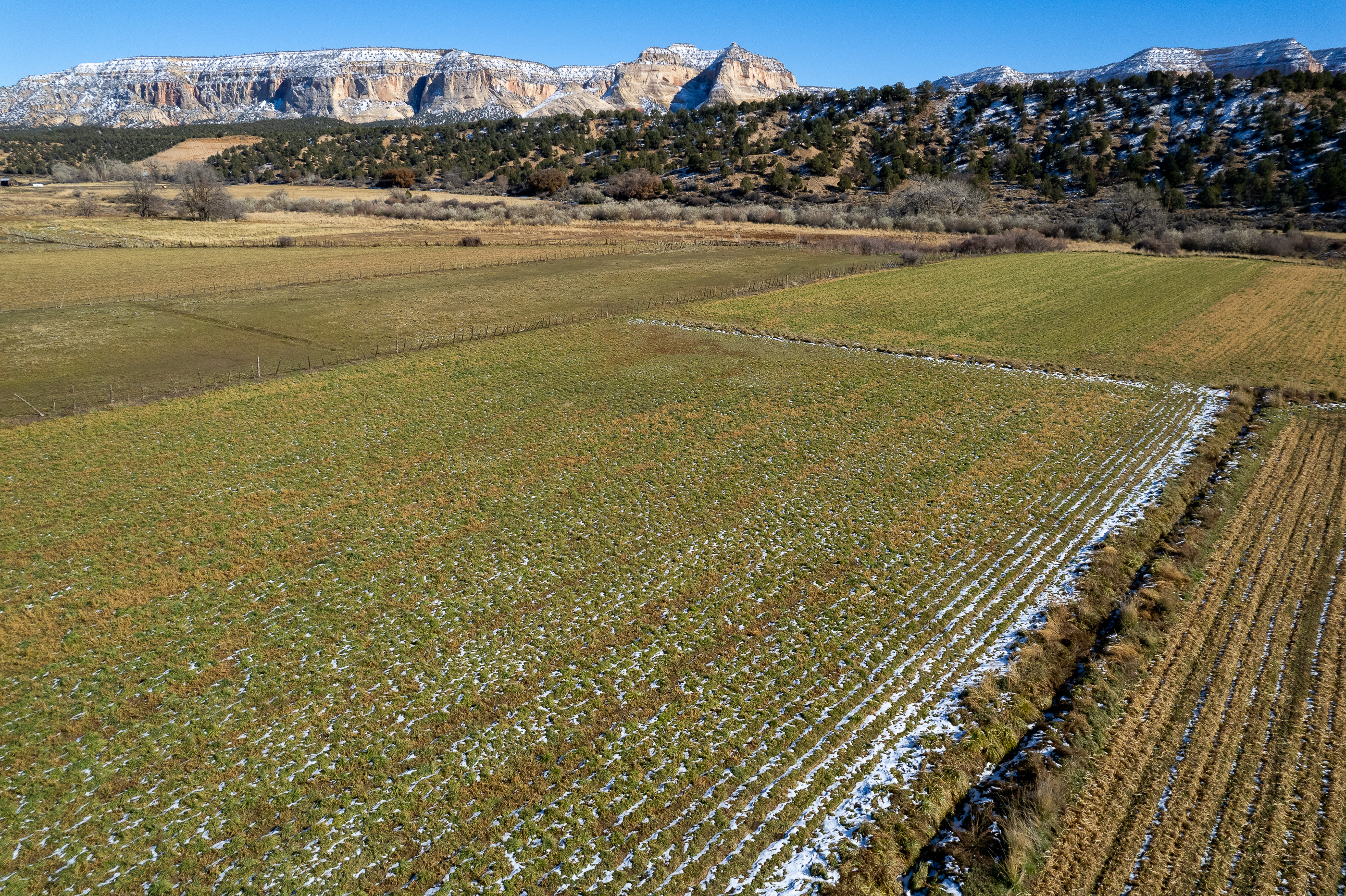 Alfalfa and hay use more than half of Utah s water but also helps