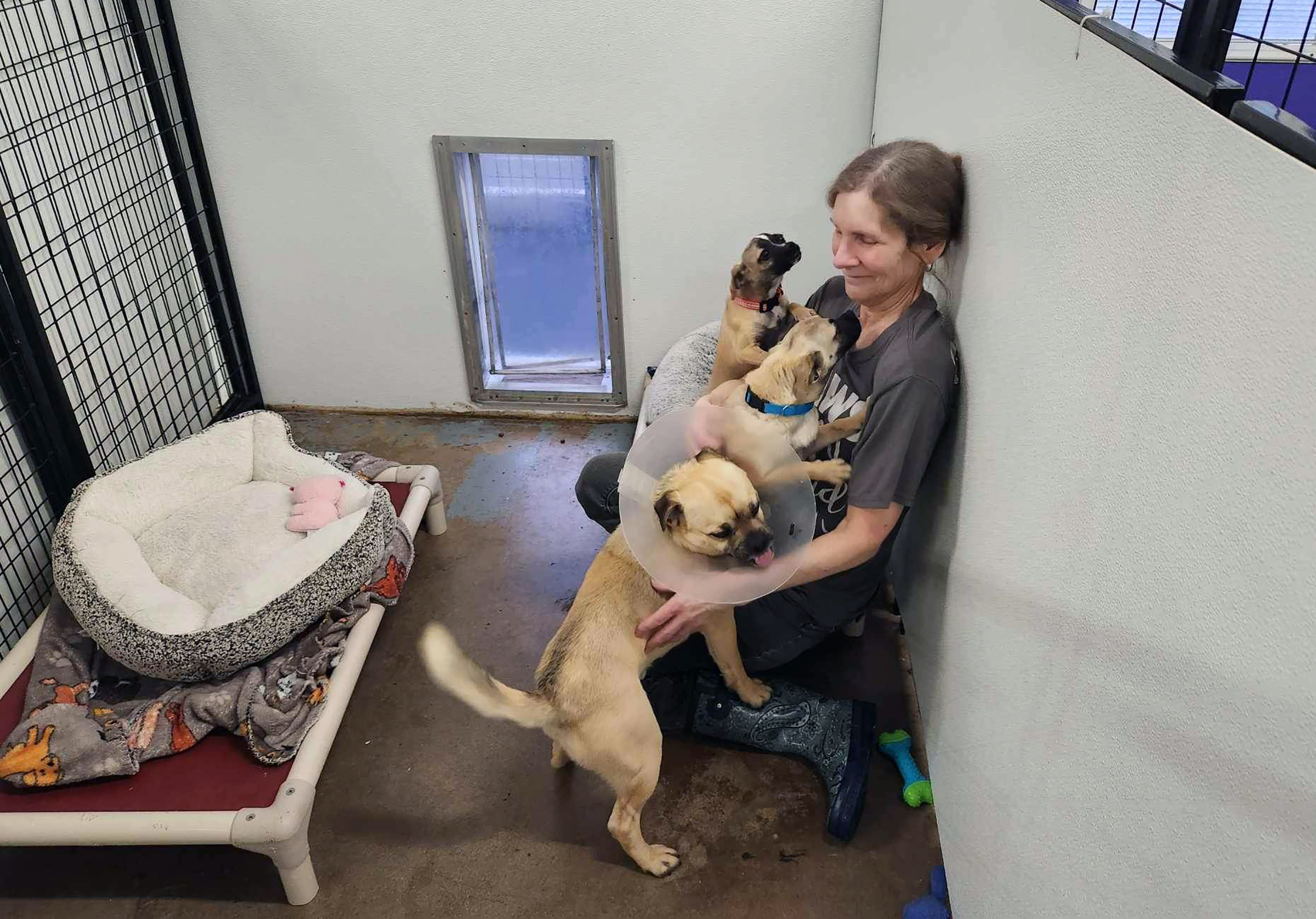 Utah animal shelters are moving toward no kill status but they