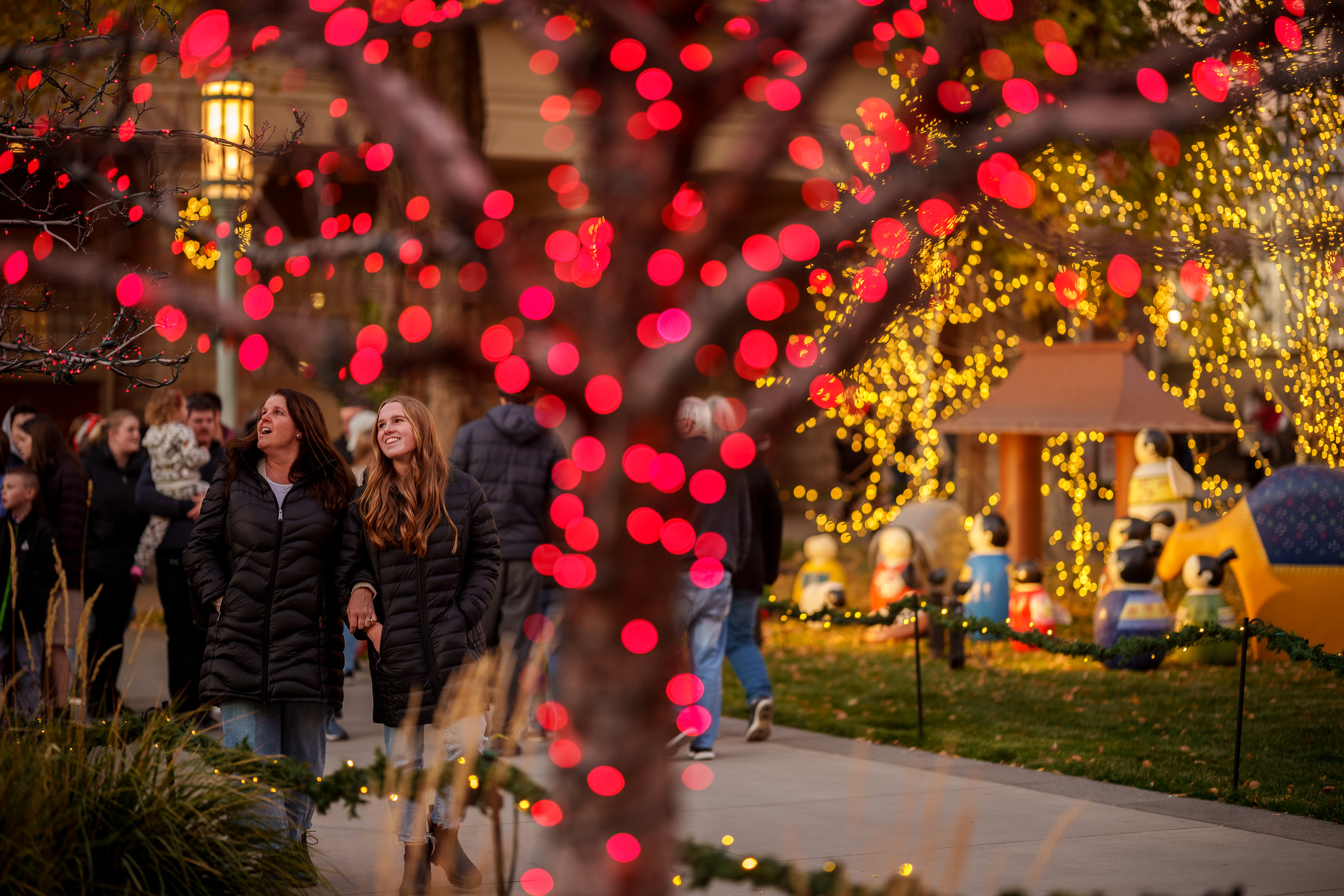 Christmas Lights Centerville Ut 2022 See Photos Of The Holiday Lights As Crowds Return To Salt Lake City's  Temple Square For Yuletide Display