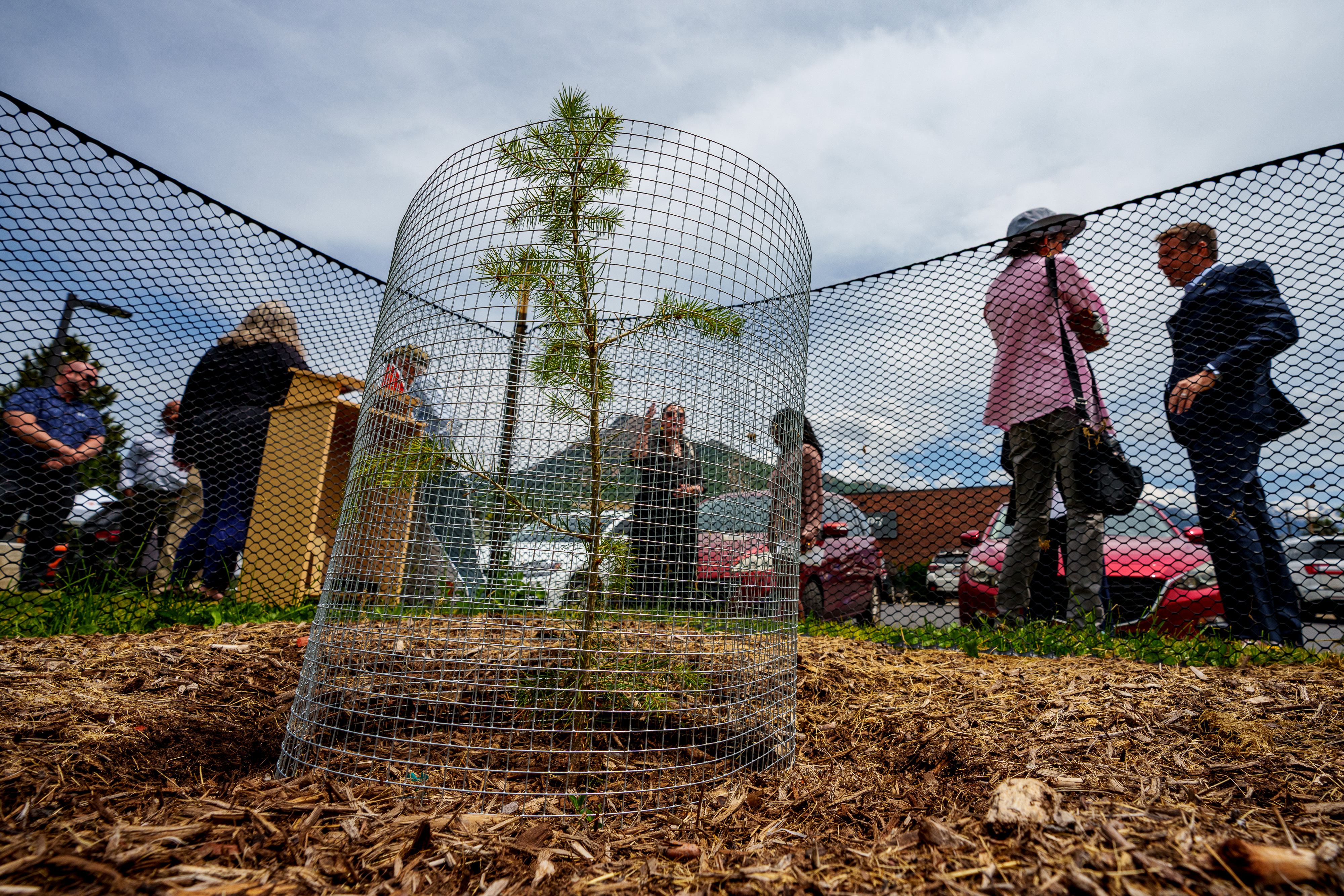 An out-of-this-world gift: The newest tree at this Salt Lake