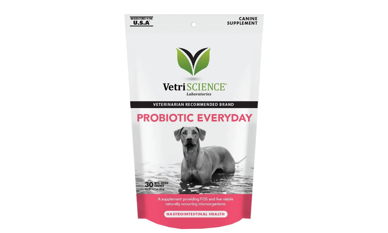 vet recommended probiotics for dogs