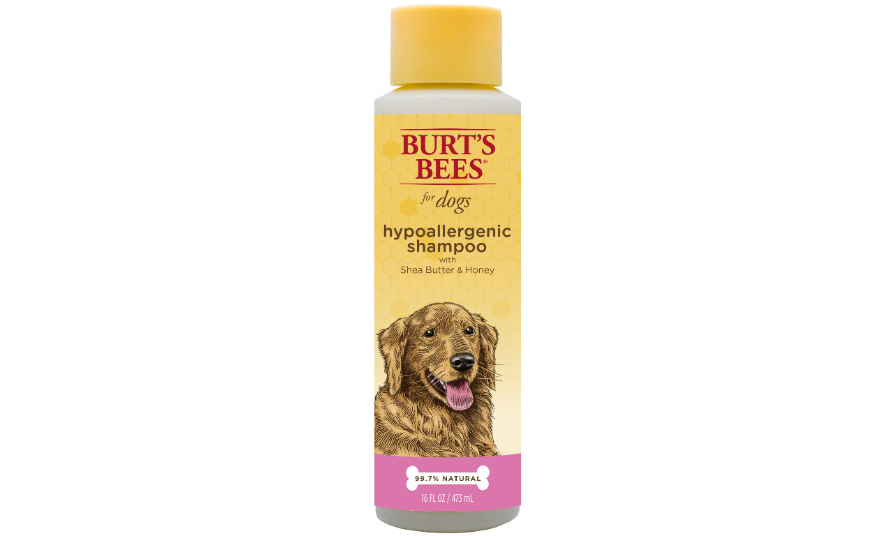 Shampoo for dogs with skin clearance problems