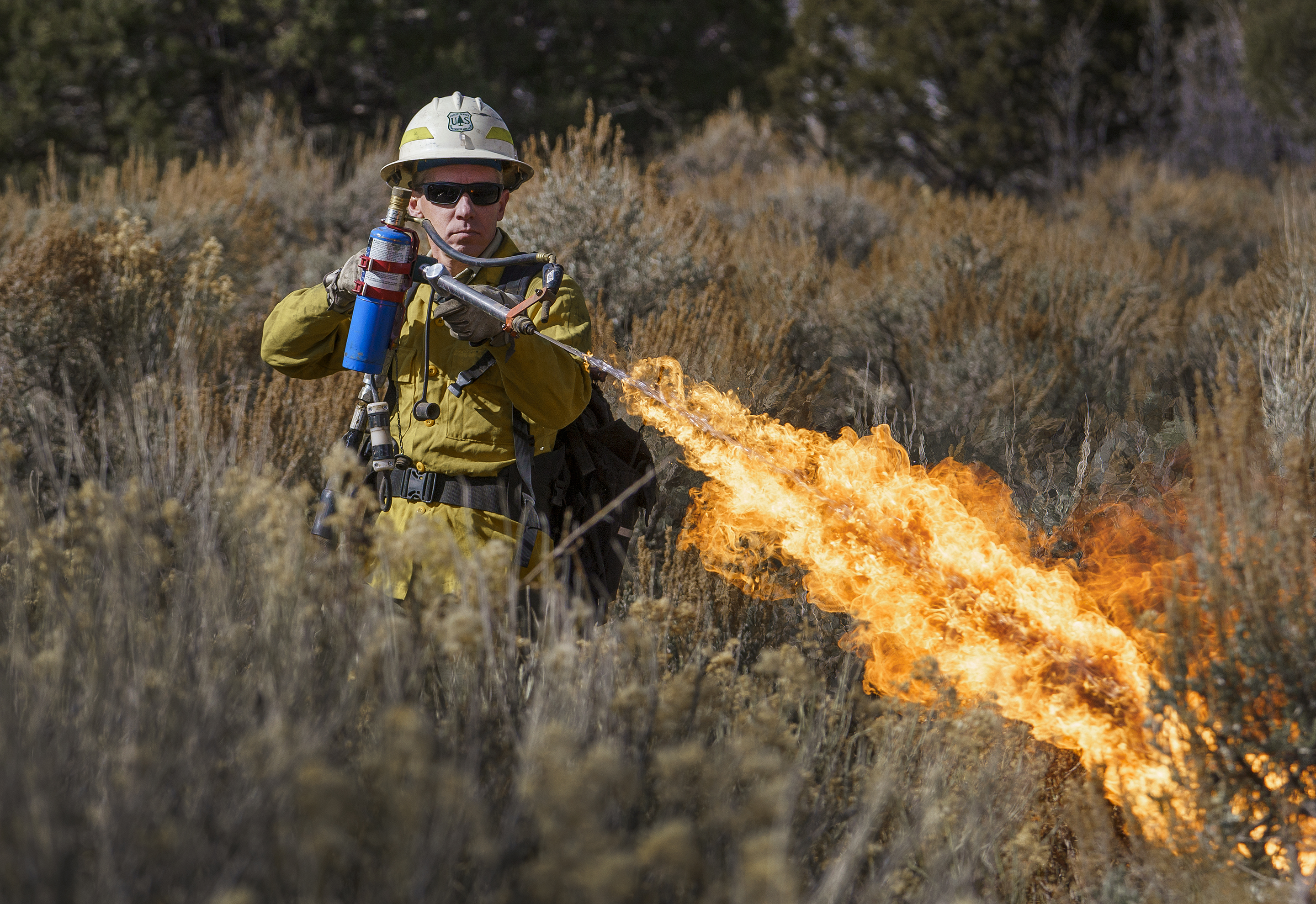 image.title How high is wildfire risk in Utah?