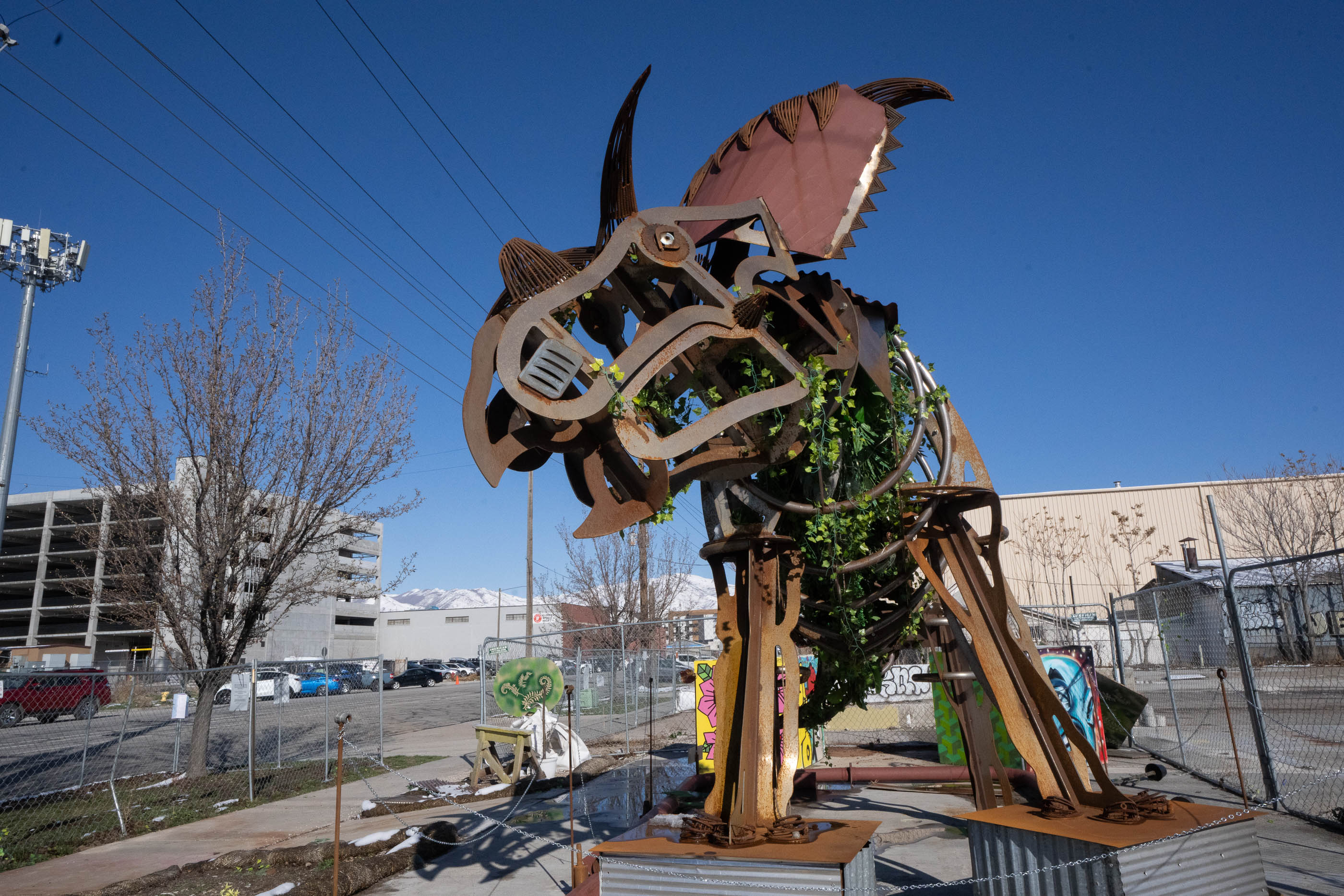 The 9th and 9th whale of the west? Meet Kosmo, the Granary