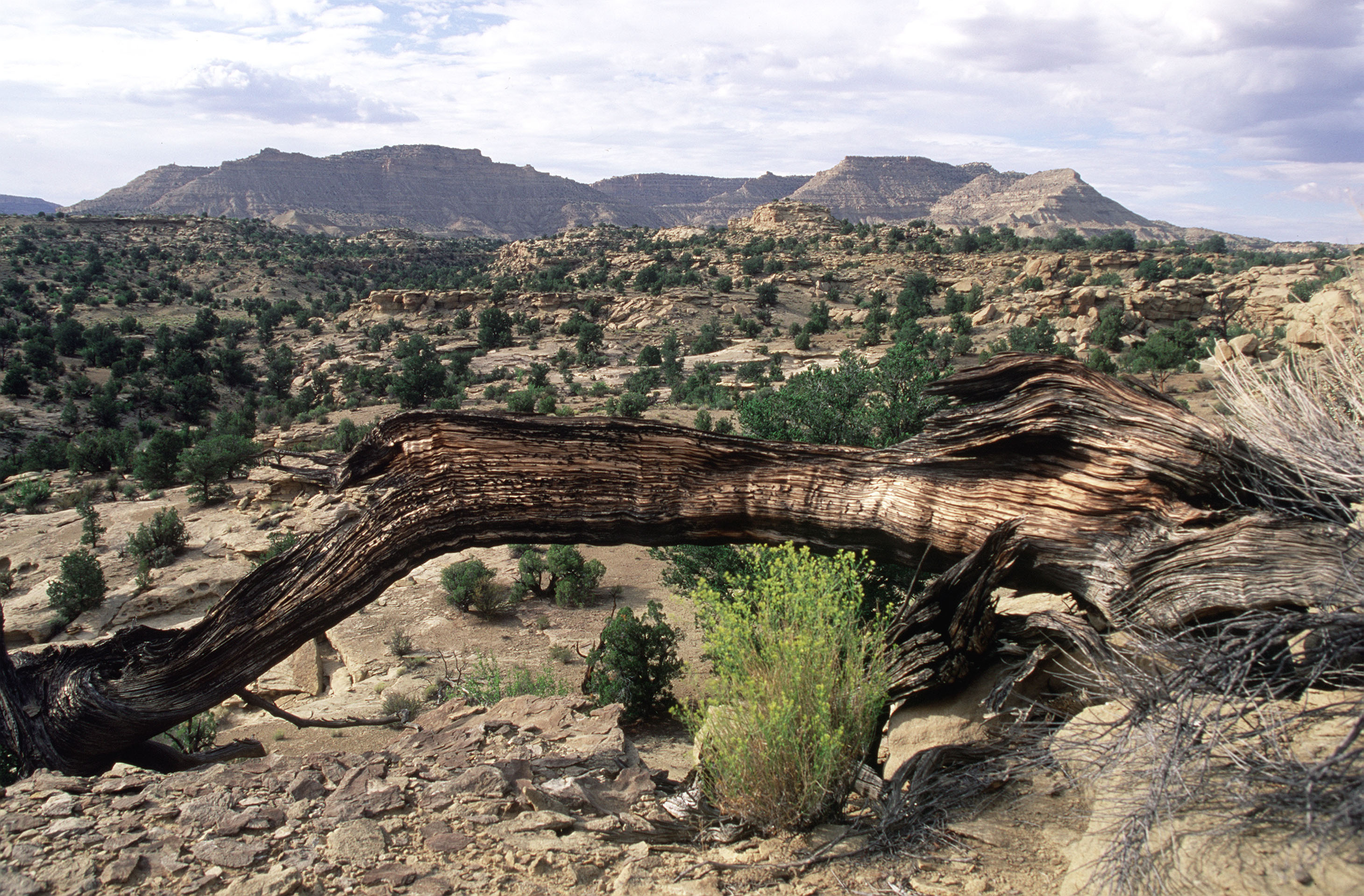 Biden creates new national monument near Grand Canyon – The Journal