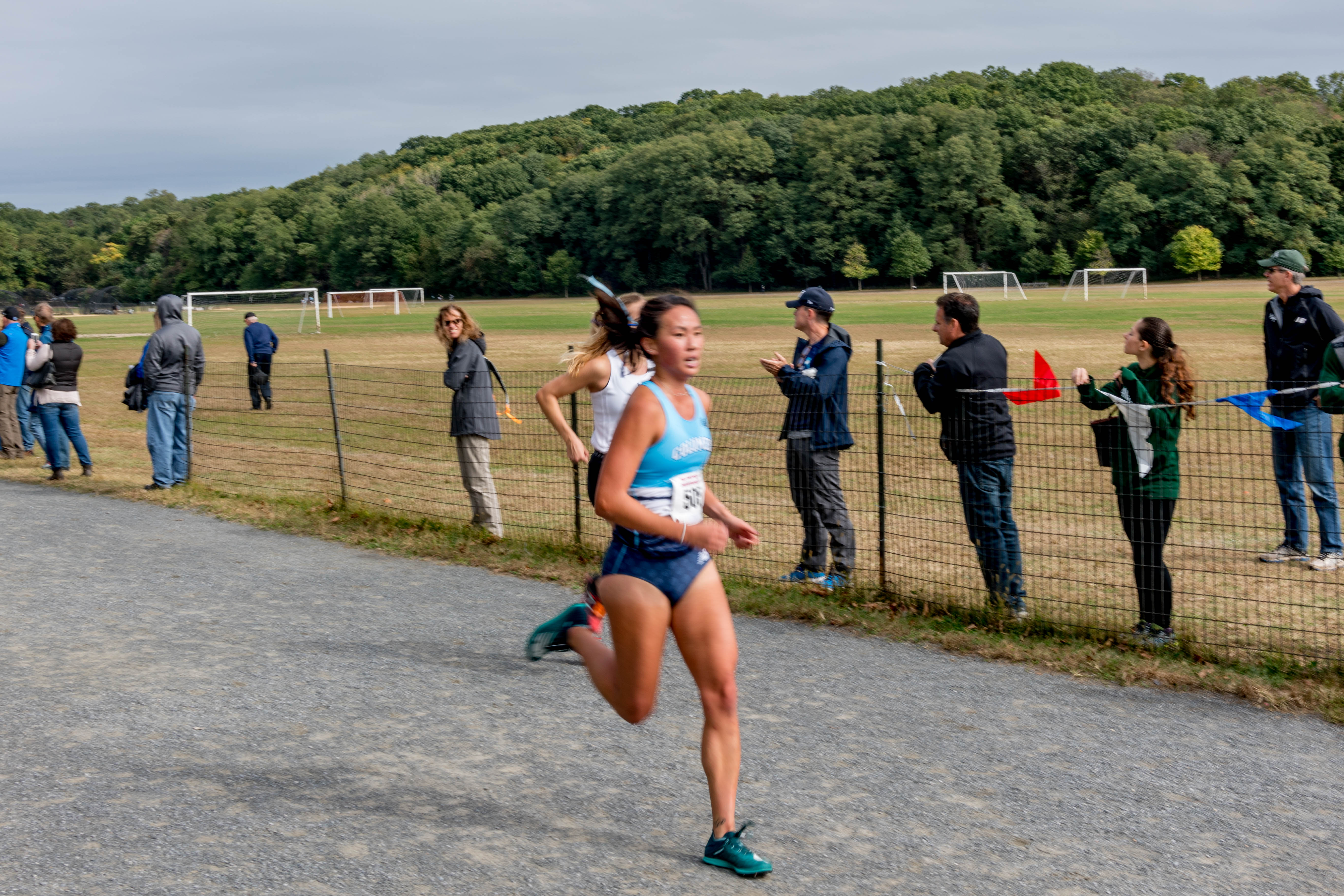 Lions excel at the NCAA Cross Country Regionals