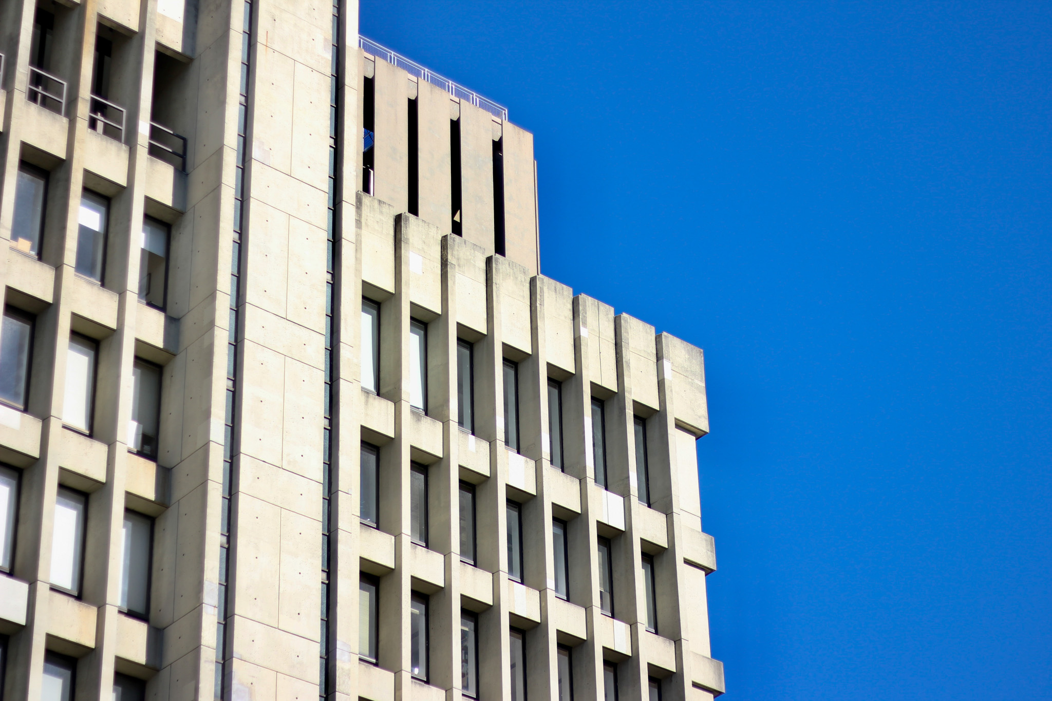 SIPA officially announces undergraduate major, supported by gift from foundation focused on civil discourse, Jewish heritage