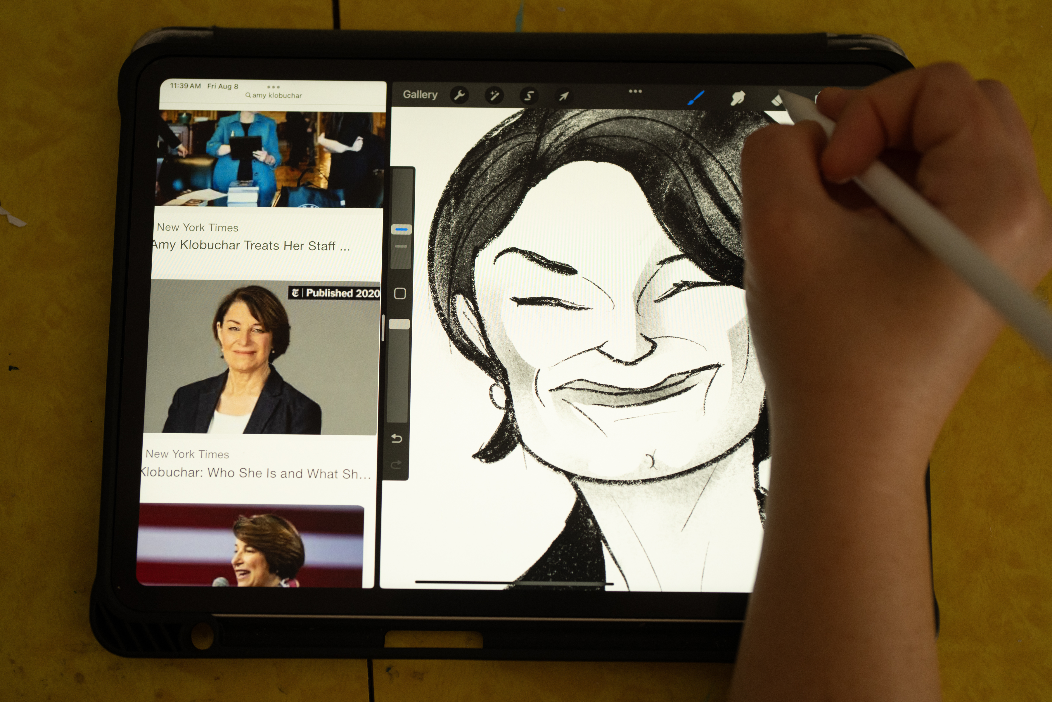 Minneapolis caricature artist Robin Schwartzman draws it all