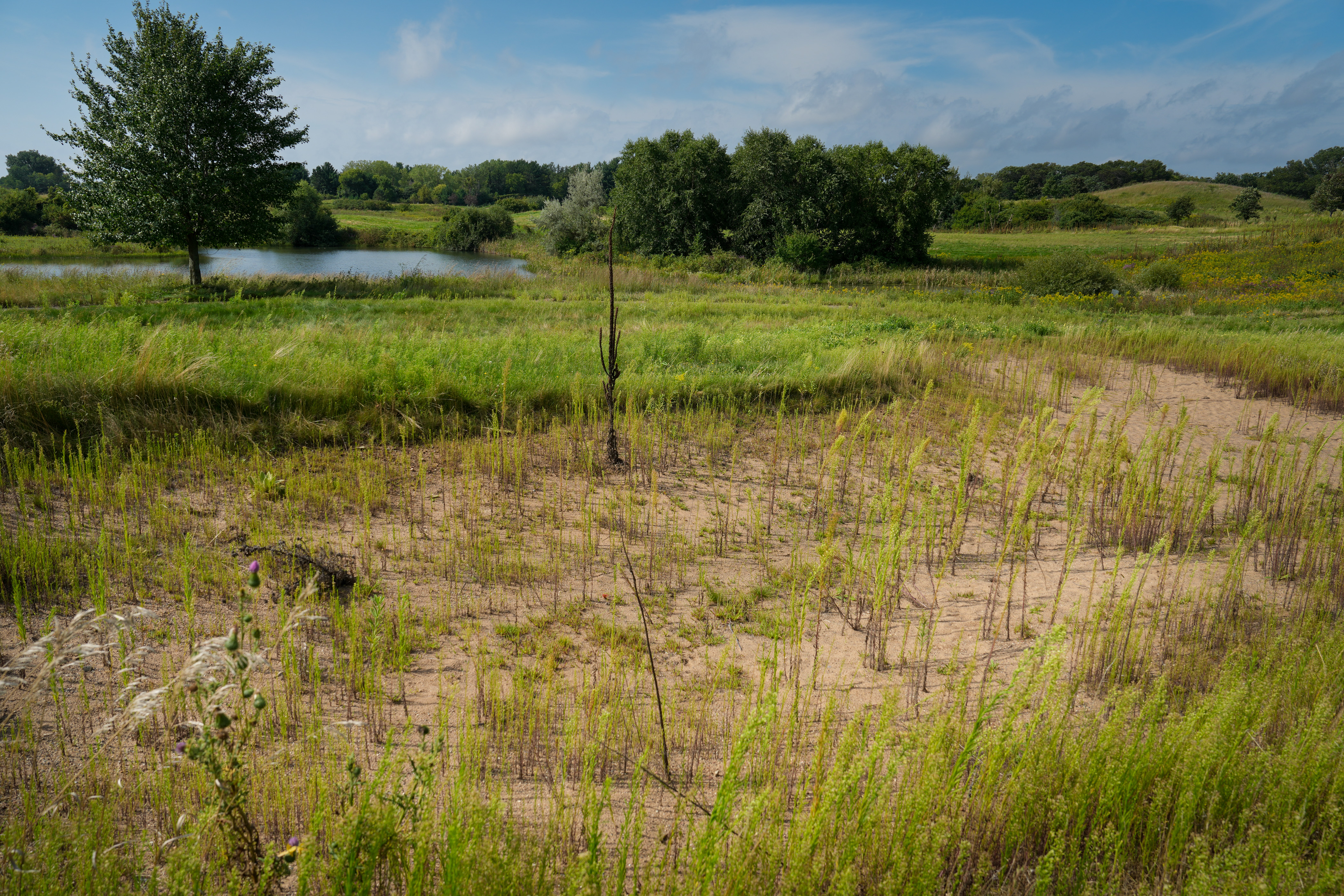 In Maplewood, opportunity to develop former Battle Creek golf course met with many opinions