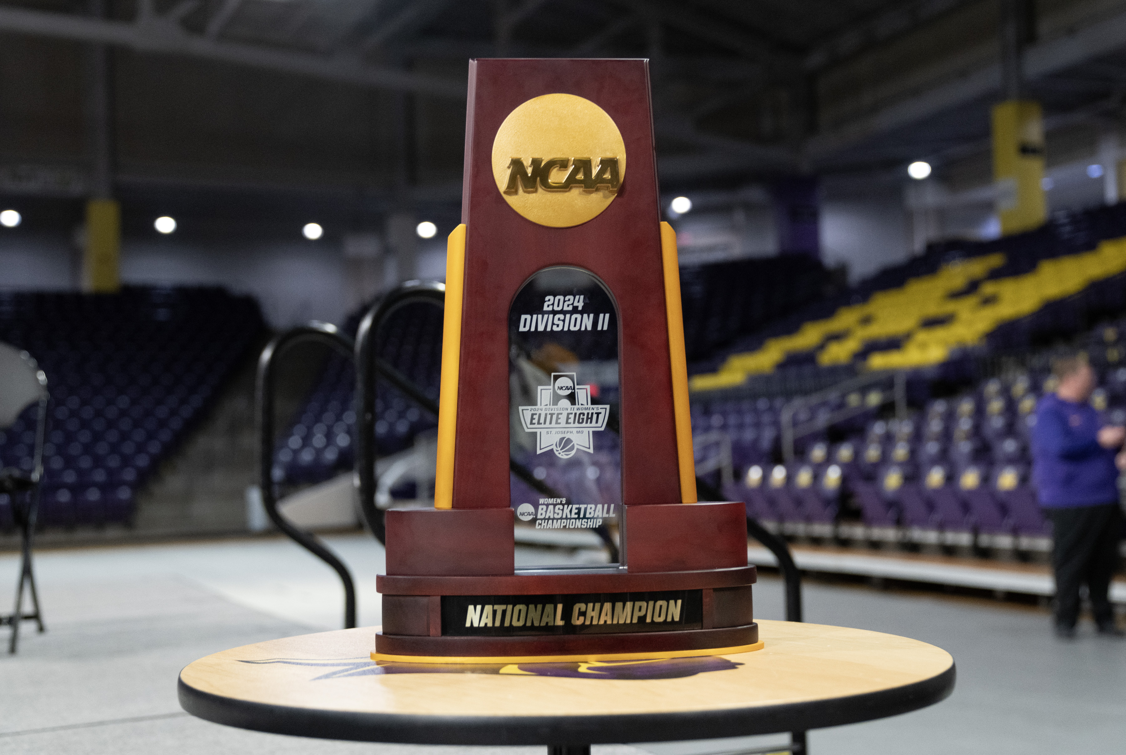 Concordia (St. Paul) makes NCAA Division II men's basketball tournament for  first time, image size:3600x2414