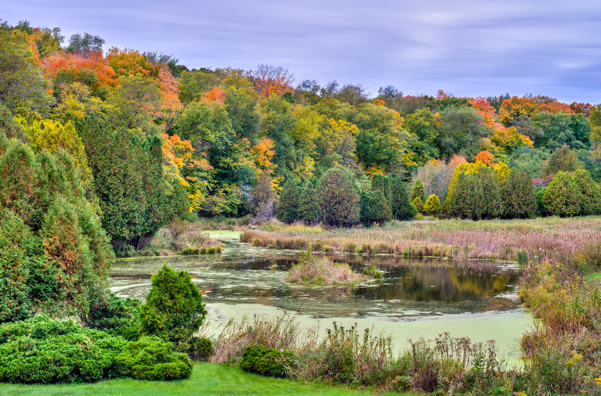 Minnesota Nature