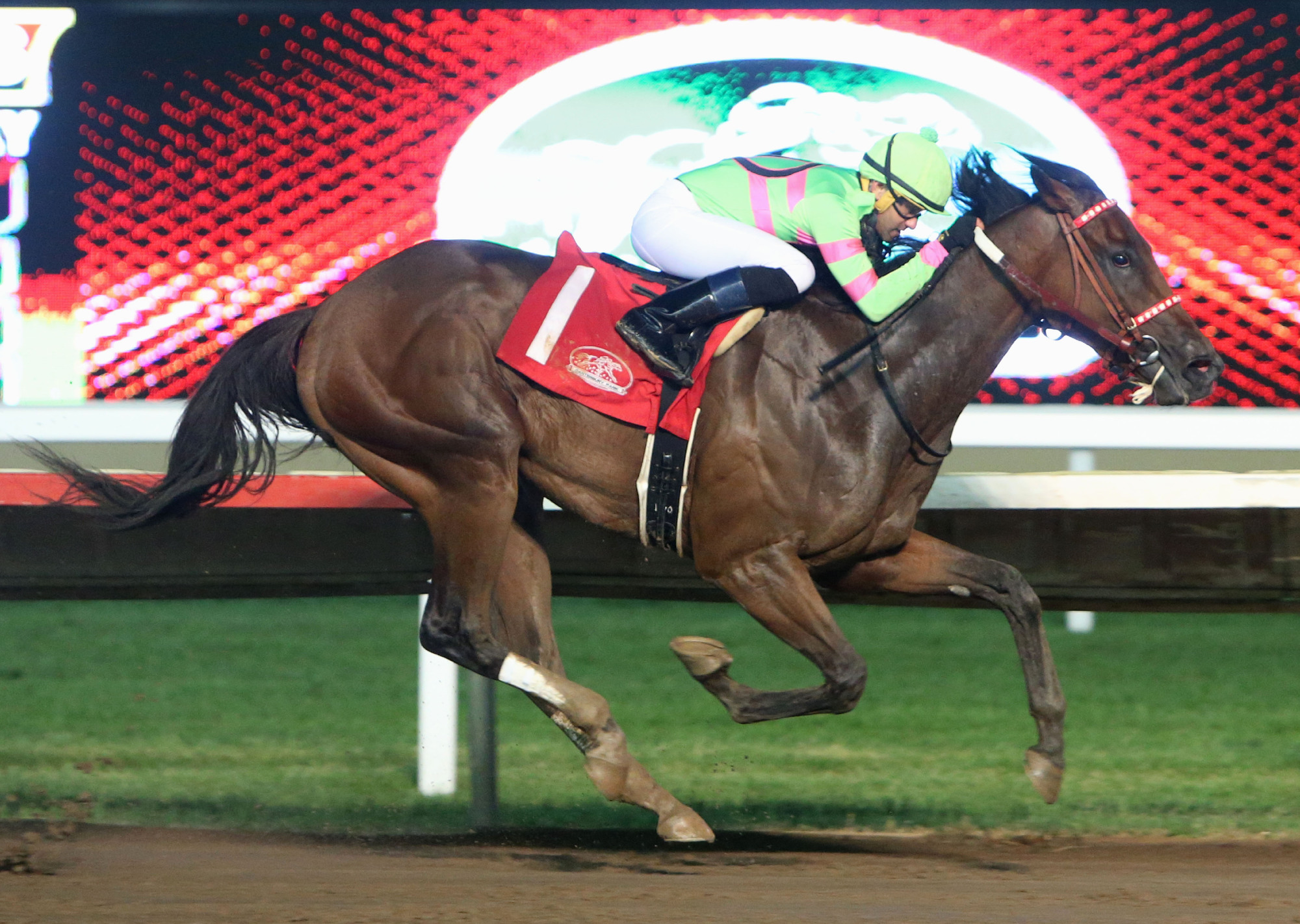 Mr. Banjoman helps his owner acquire a taste for the homegrown at  Canterbury Park