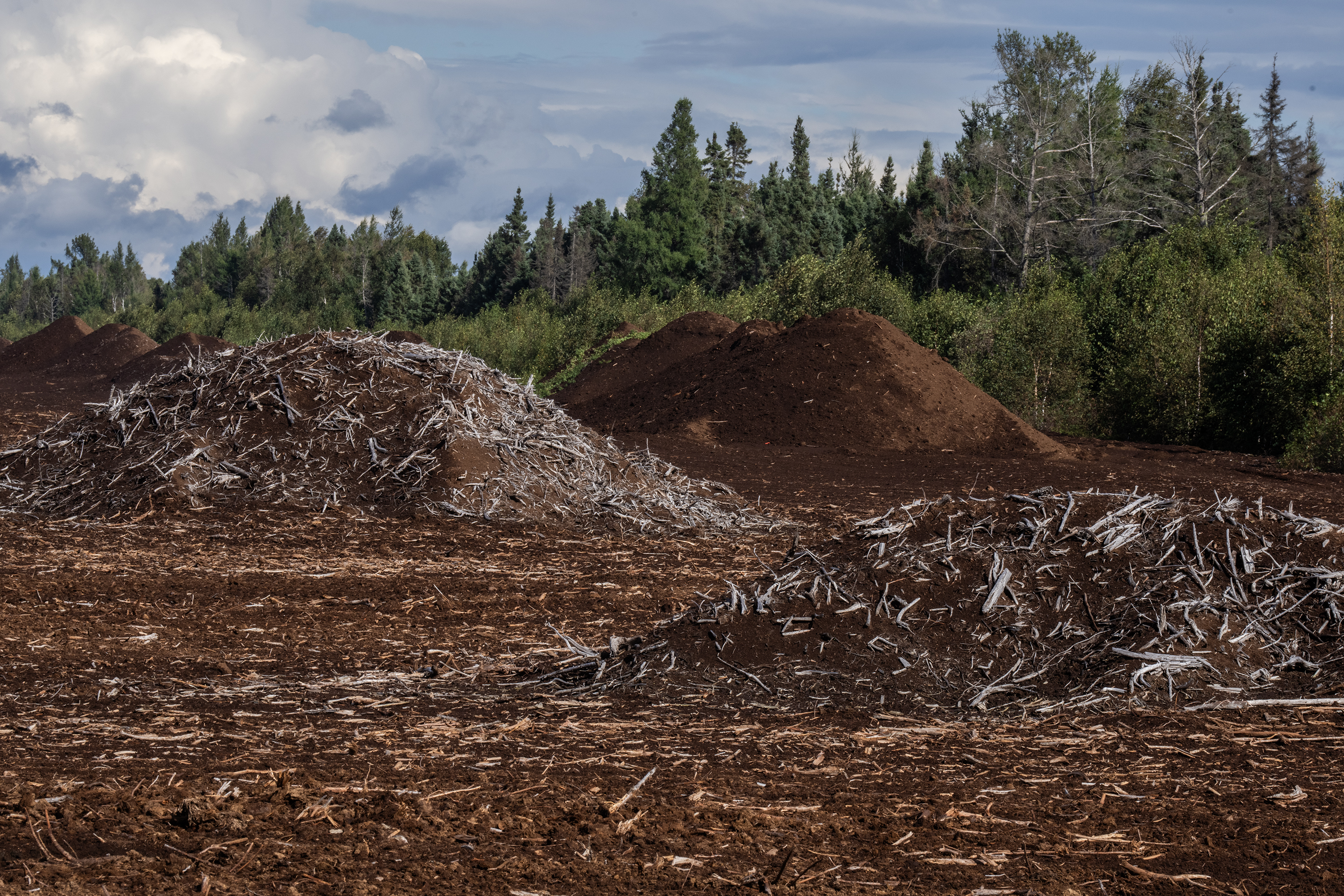 As Minnesota spends millions to restore peatlands, it sells mining rights for  an acre