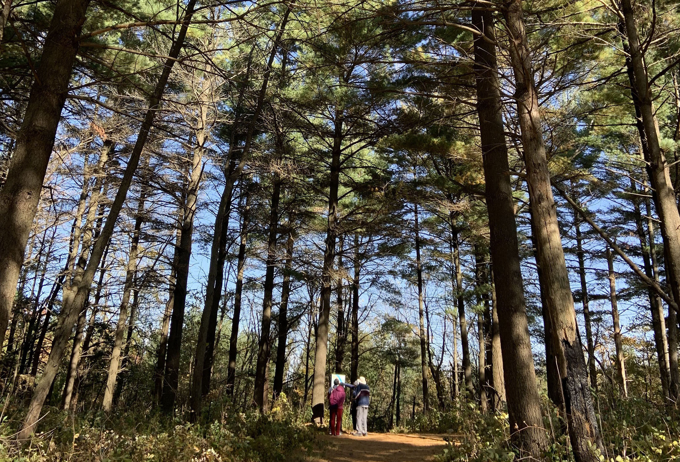 Find a spring hike that fits: From hidden beauties to family terrain ...