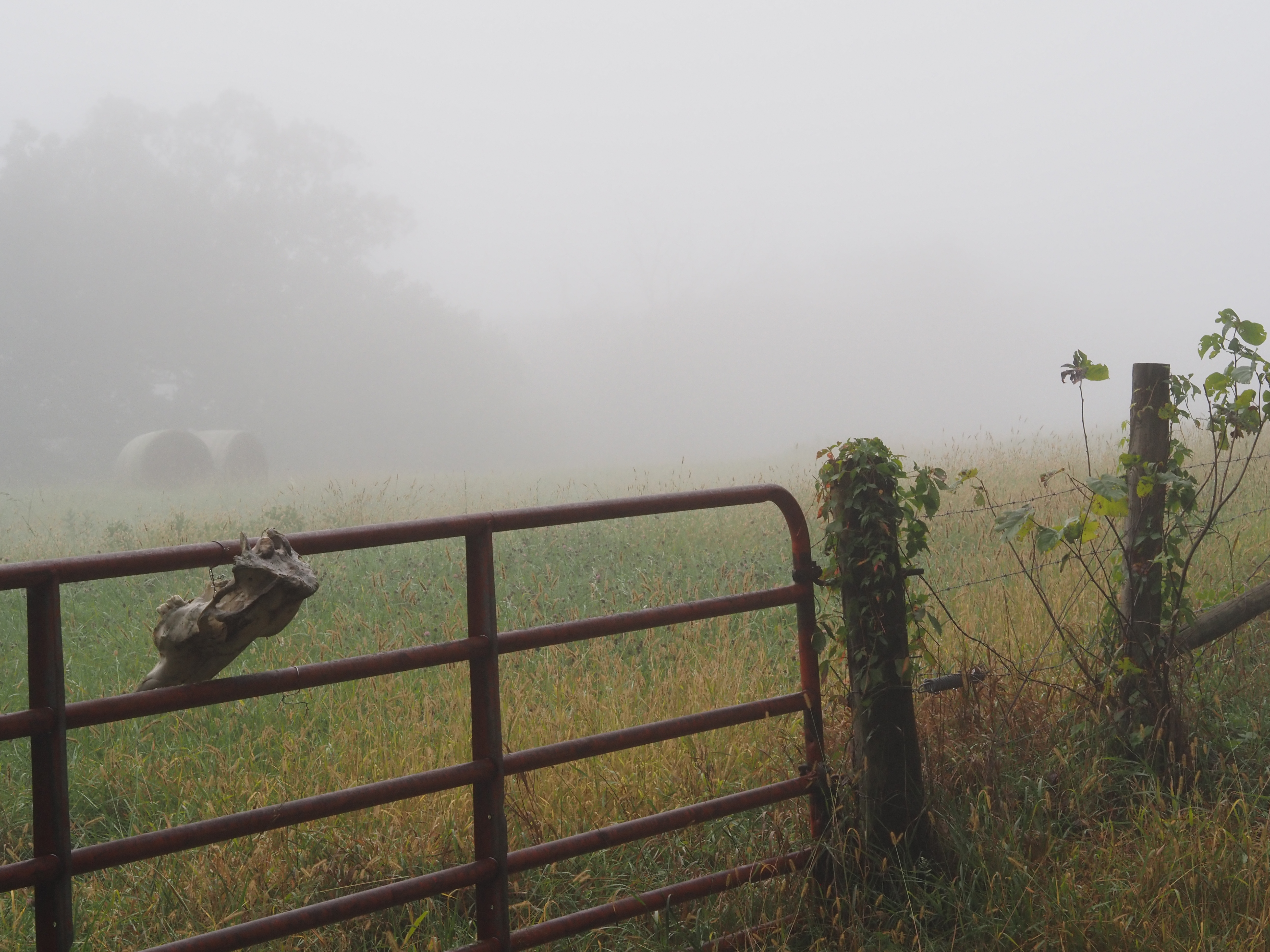 What the first day of fall looks like across Minnesota