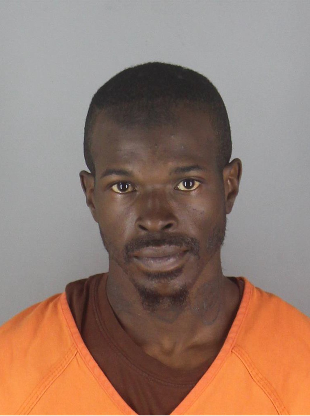 Minnesota Appeals Court Flare gun qualifies as dangerous firearm