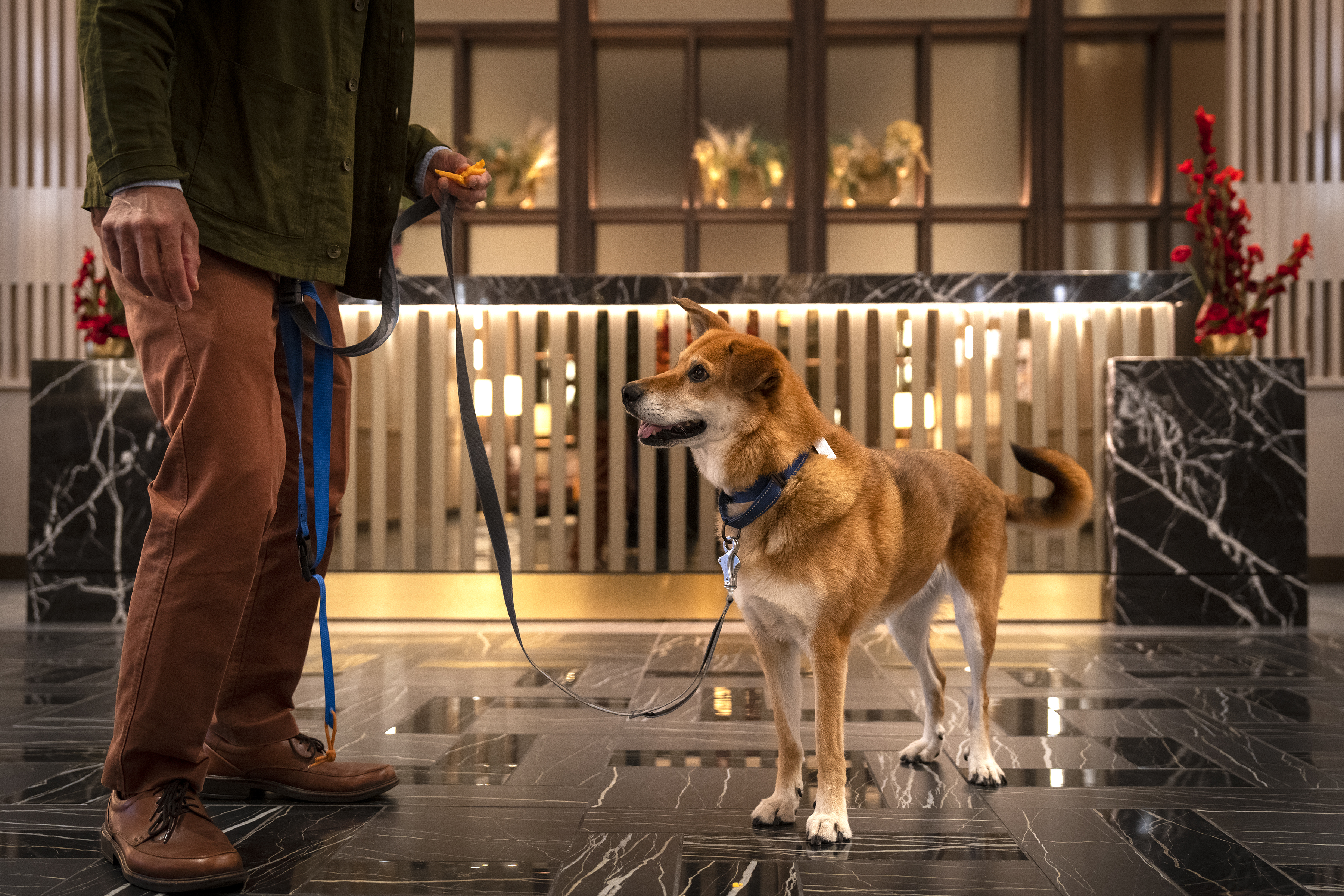 I stayed at the fanciest hotel in Minnesota – with my dog