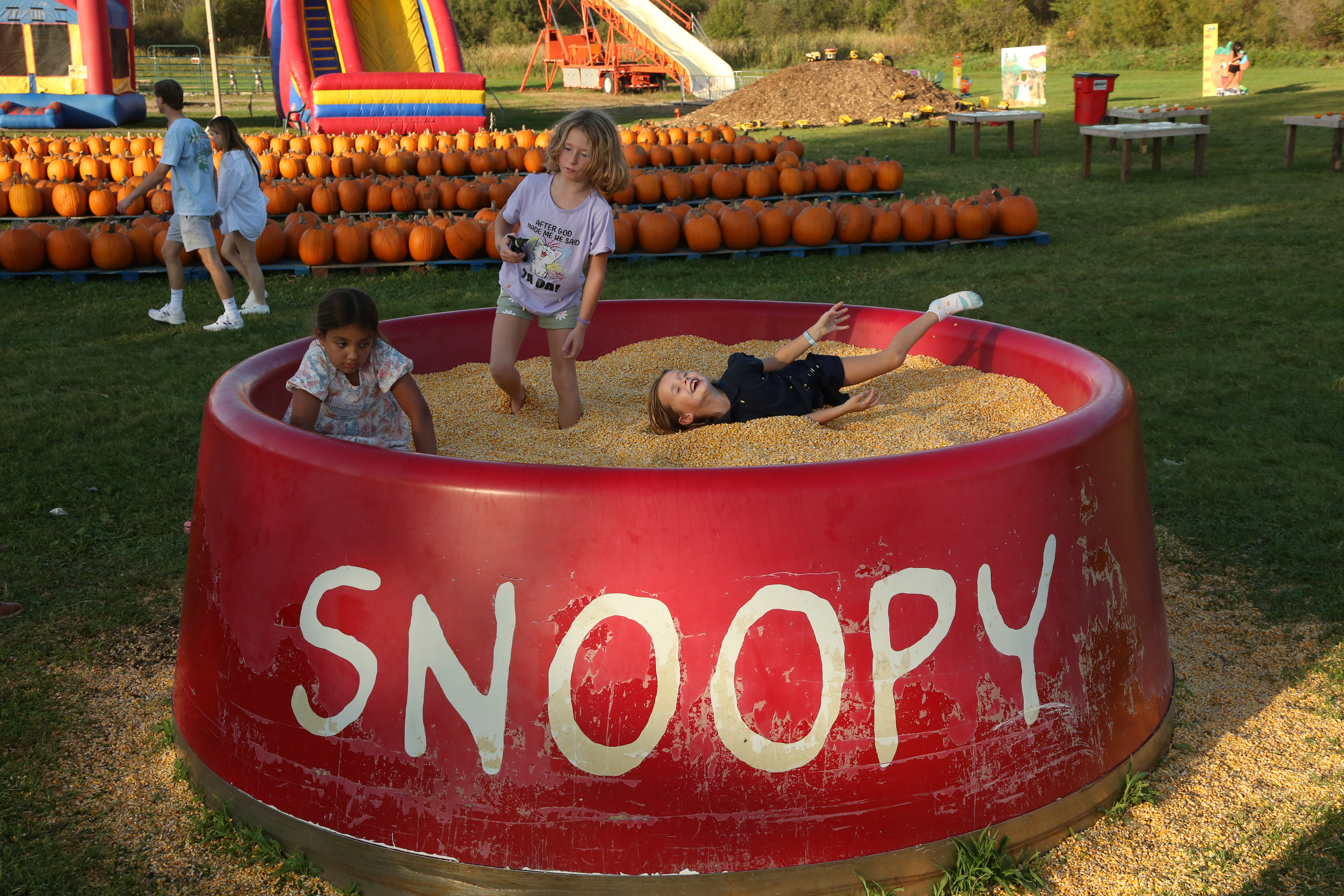 How did a piece of Camp Snoopy end up at a pumpkin farm in Ham Lake?