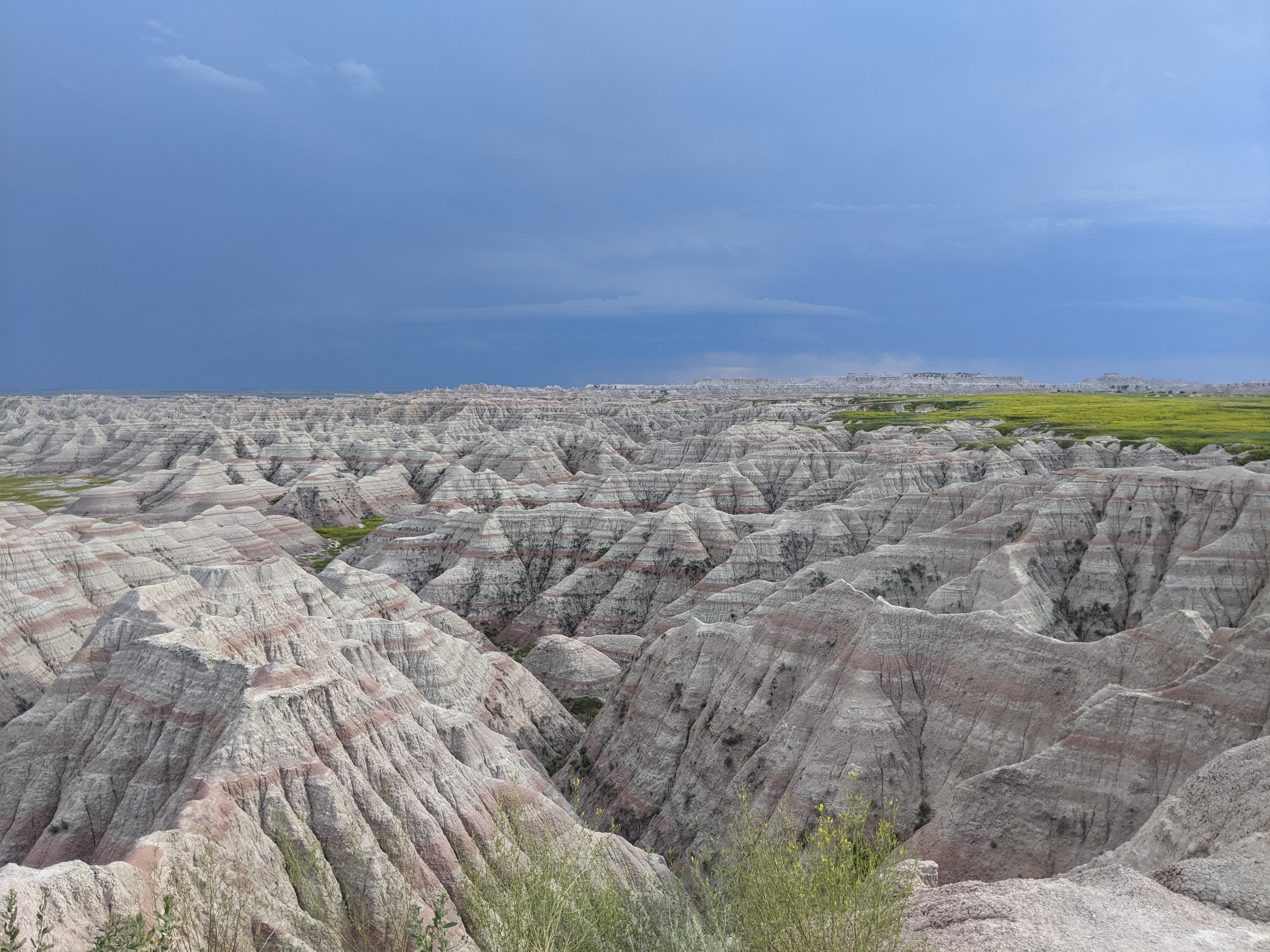 How my two daughters, 7 and 10, achieved fossil finder status in Badlands National Park