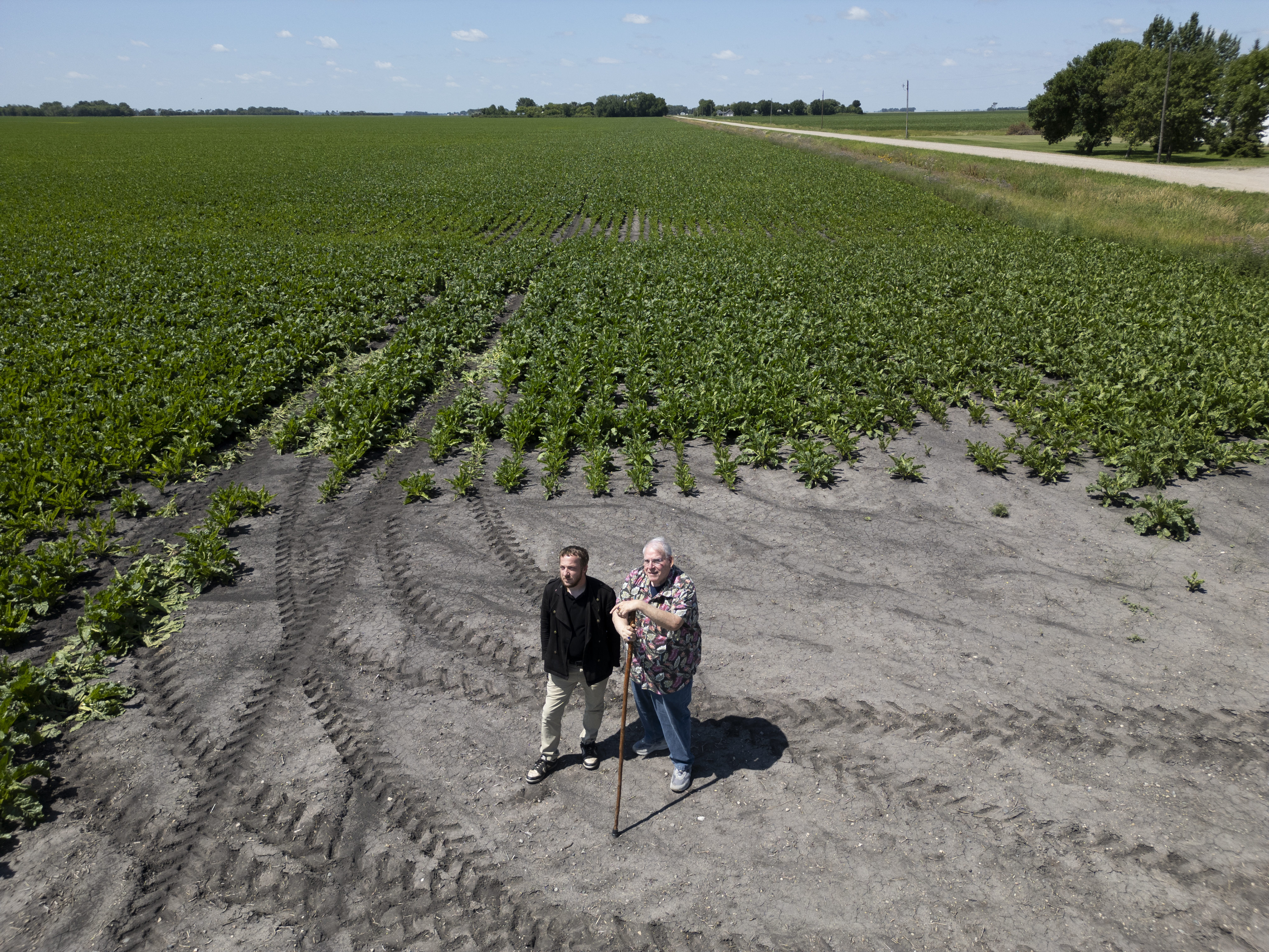 startribune.com - Christopher Vondracek - Trying to expand a cannabis business, surrounded by moratoriums