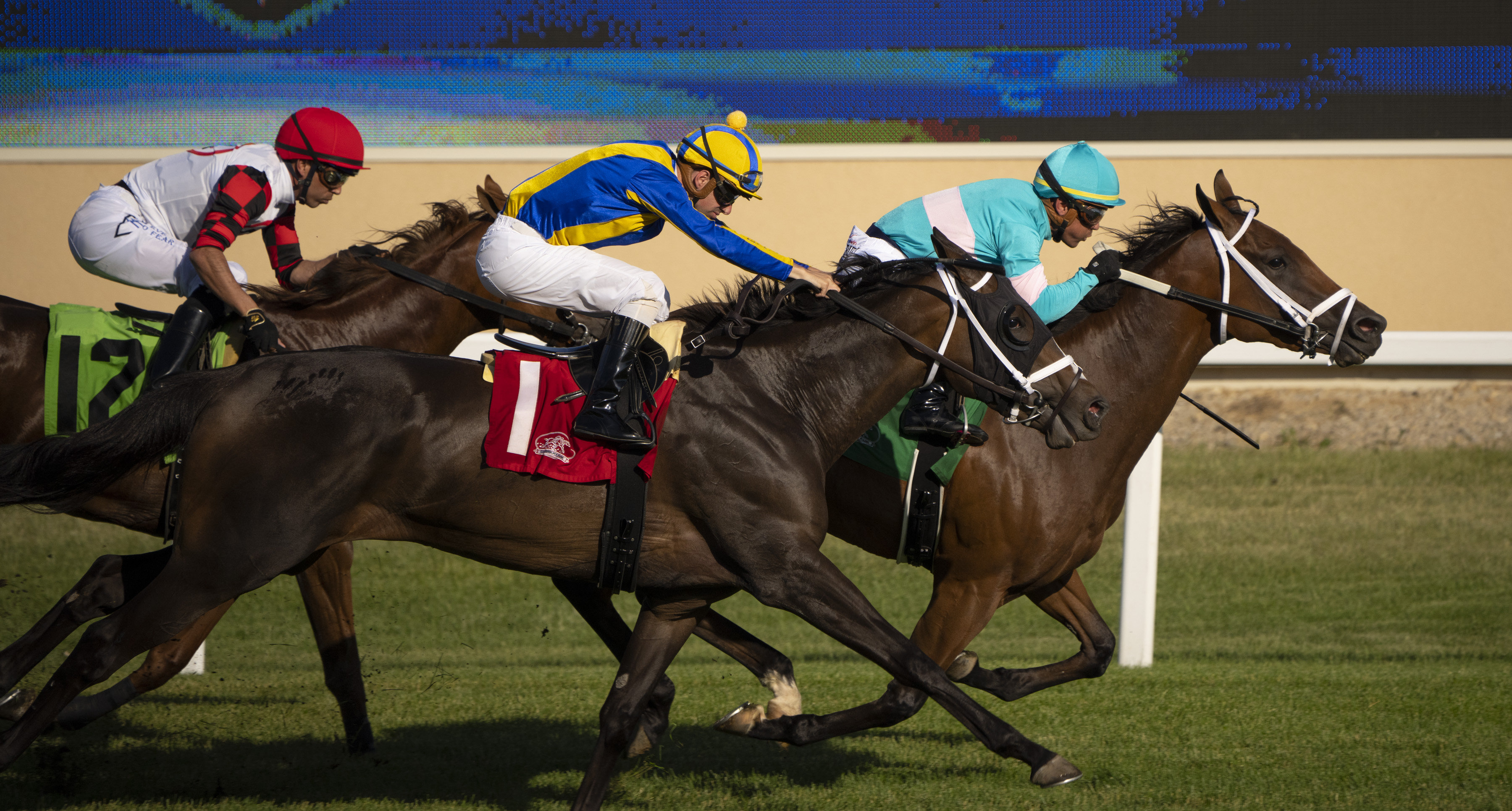 Saratoga Park Race Results 95 - y1f7nam