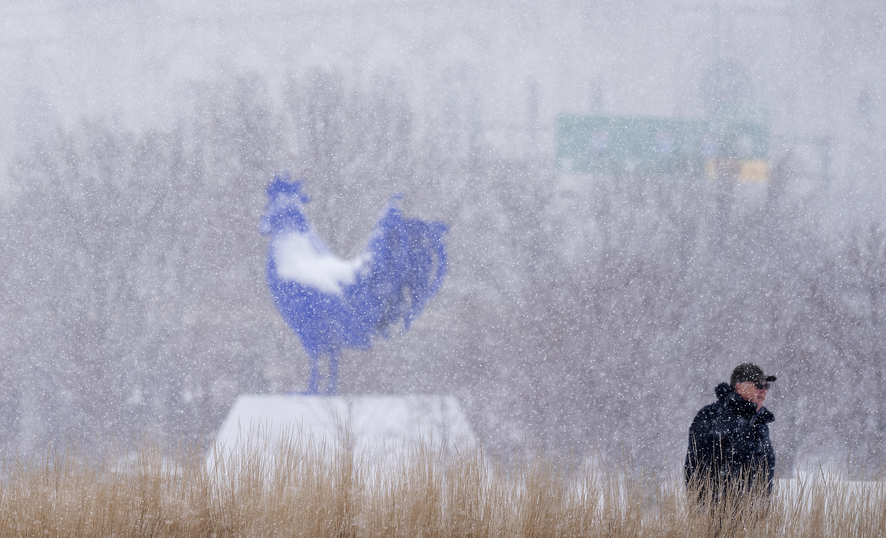 Winter Storm Alert Snowstorm Set to Impact Minnesota with Major Snowfall and Wind Gusts