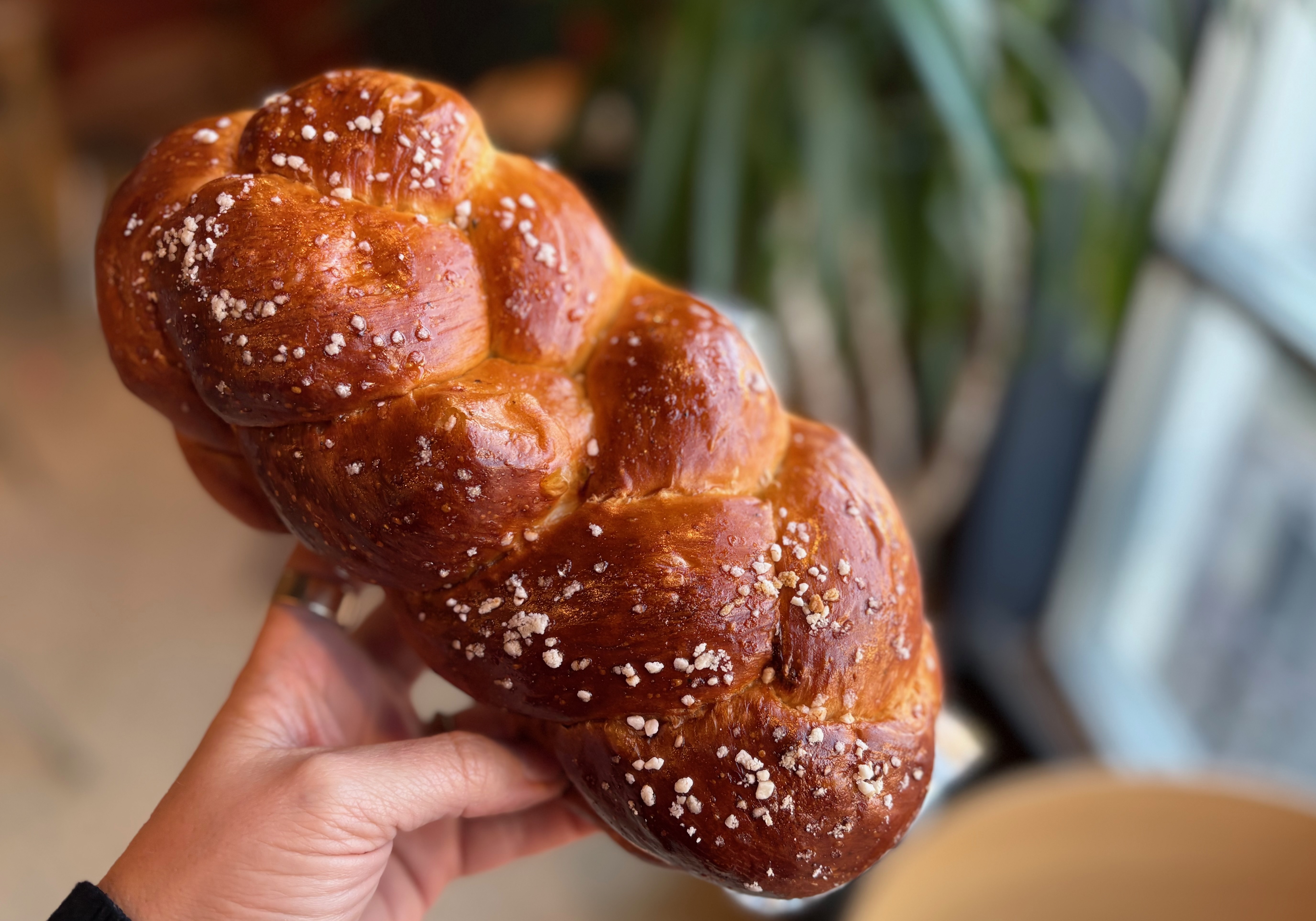 Where to buy a Princess Torte Cake now that Wuollet has closed