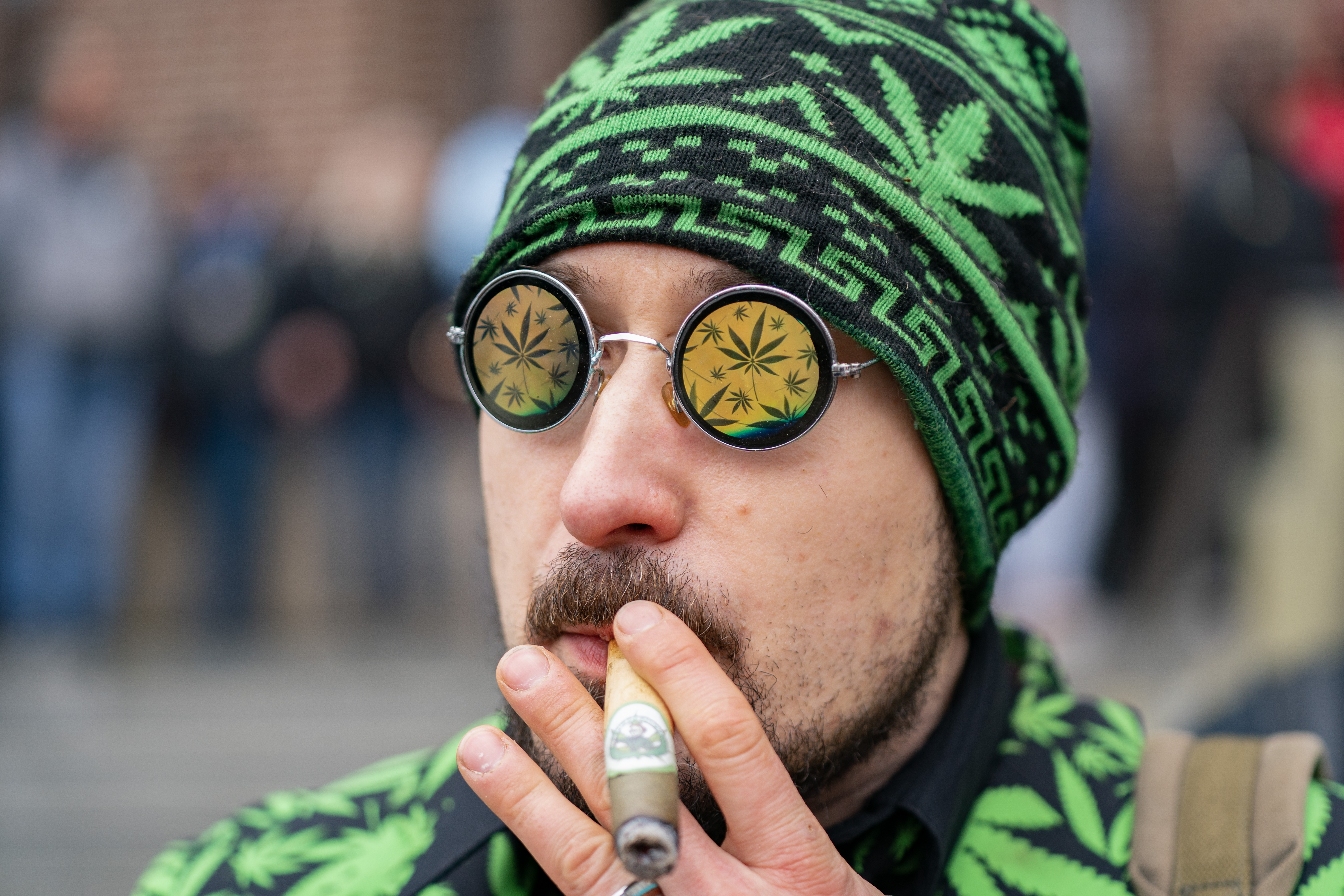 where to buy chewing tobacco in mexico Mexican San Andres Wrapper Whole Raw Leaf Tobacco for Hand Rolled Cigars