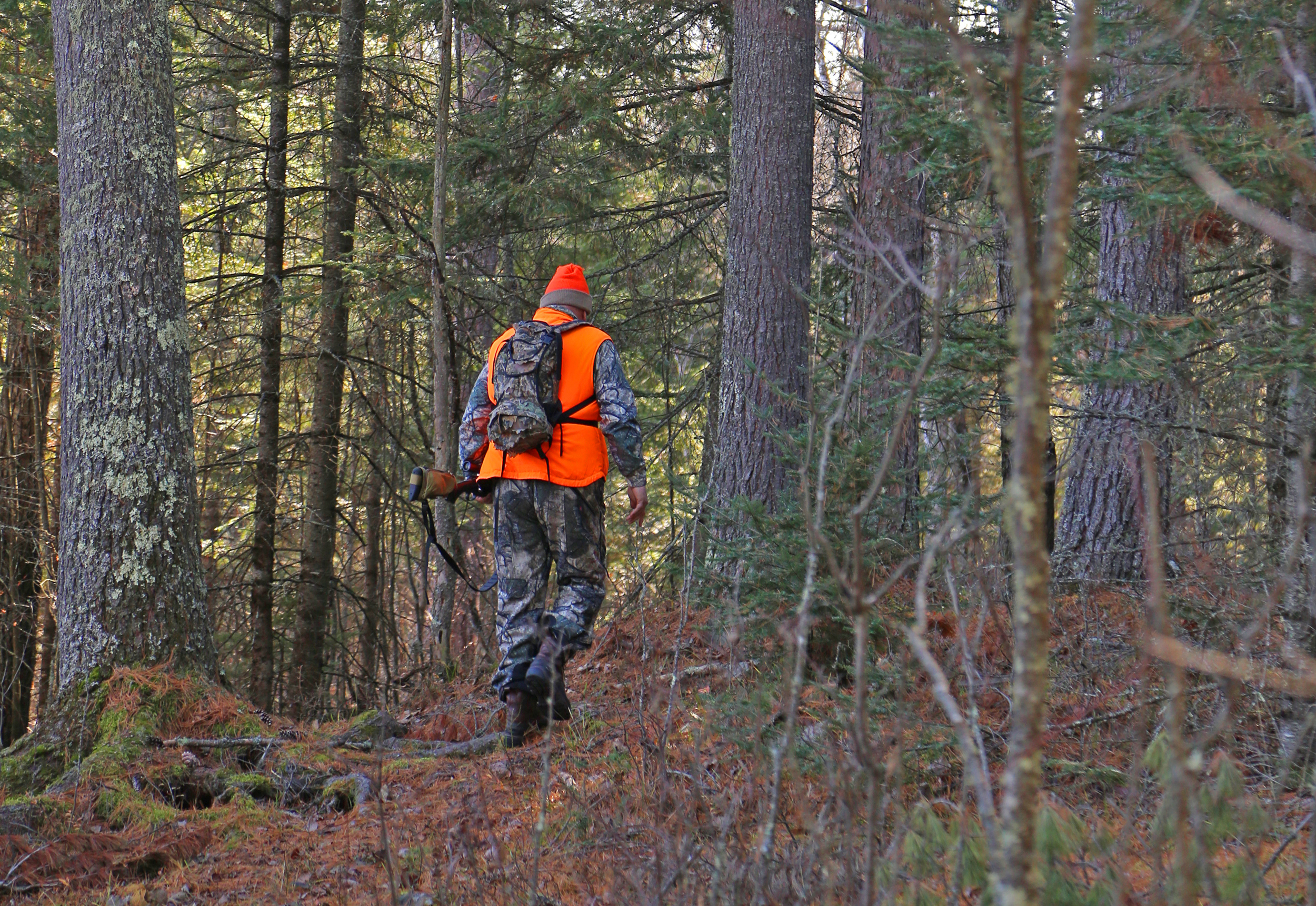 As much as deer camp is a place, for fortunate visitors it's also