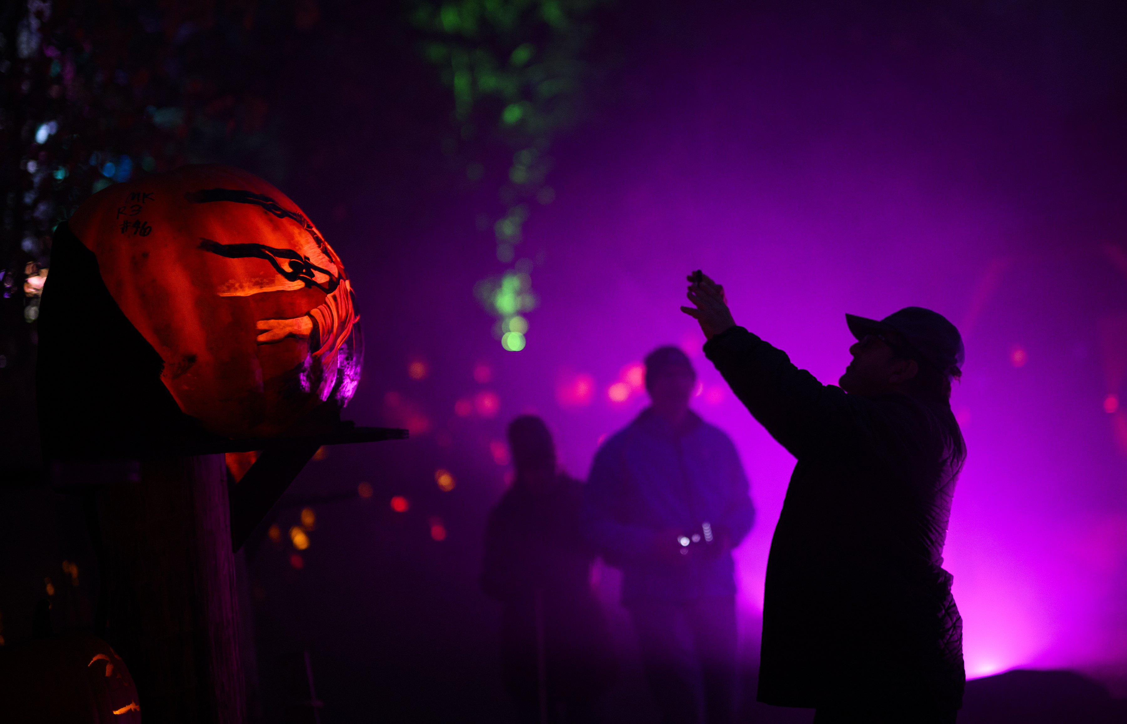 Pumpkins dazzle at Jack-O-Lantern Spectacular at Minnesota Zoo