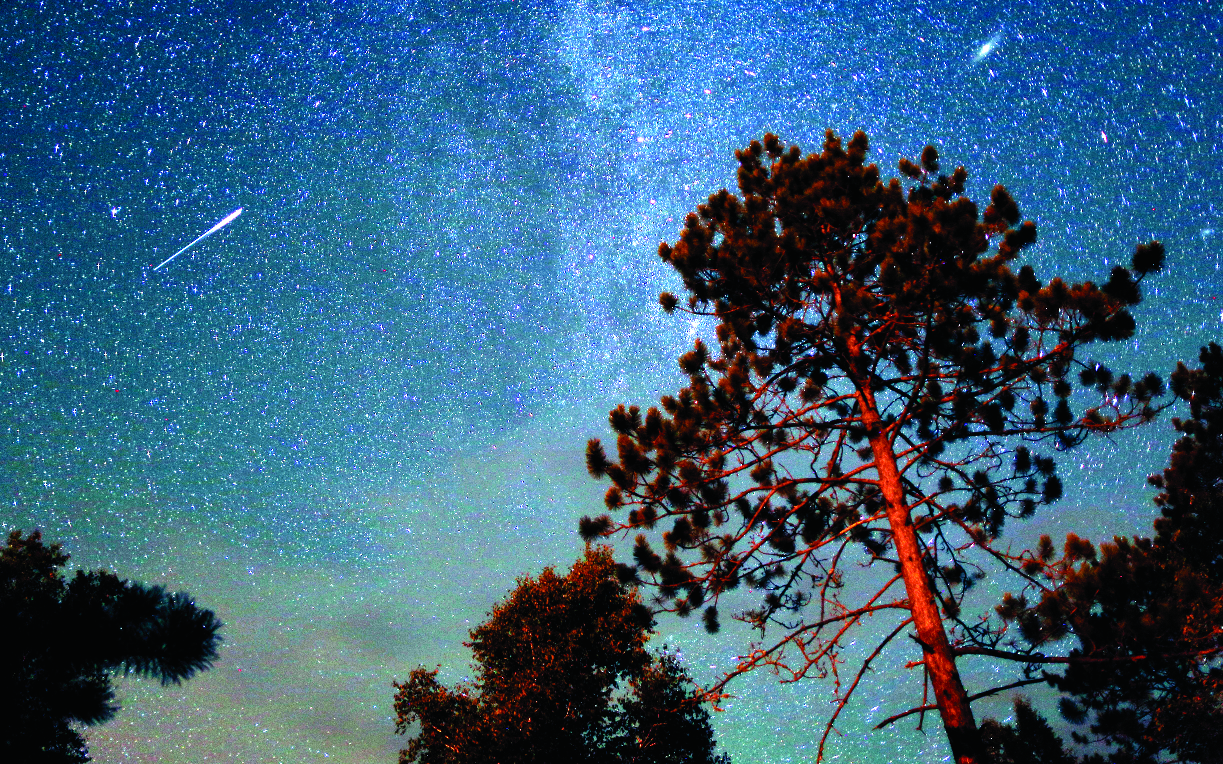 Easy methods to watch Minnesota’s newest celestial display: the Perseid meteor bathe