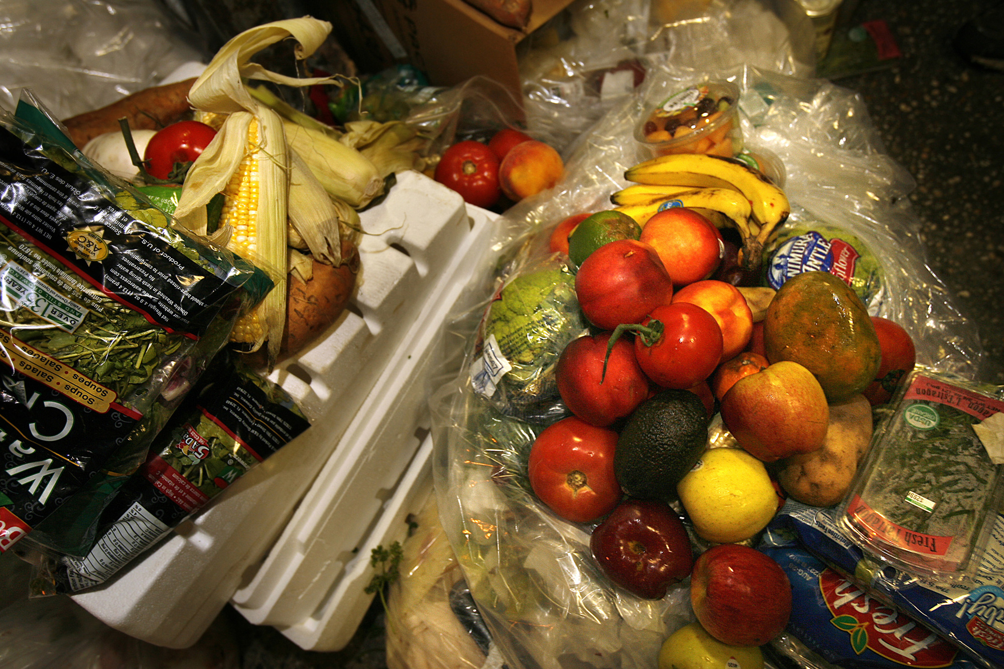 How to Reduce Food Waste: Practical Tips for a Sustainable Kitchen