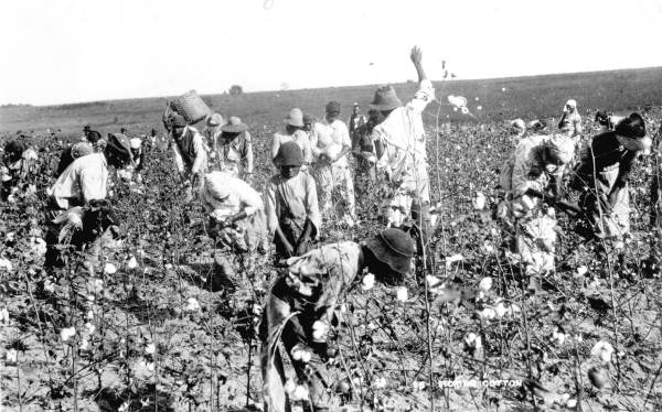 Want to know about slavery in Florida? Listen to former slaves