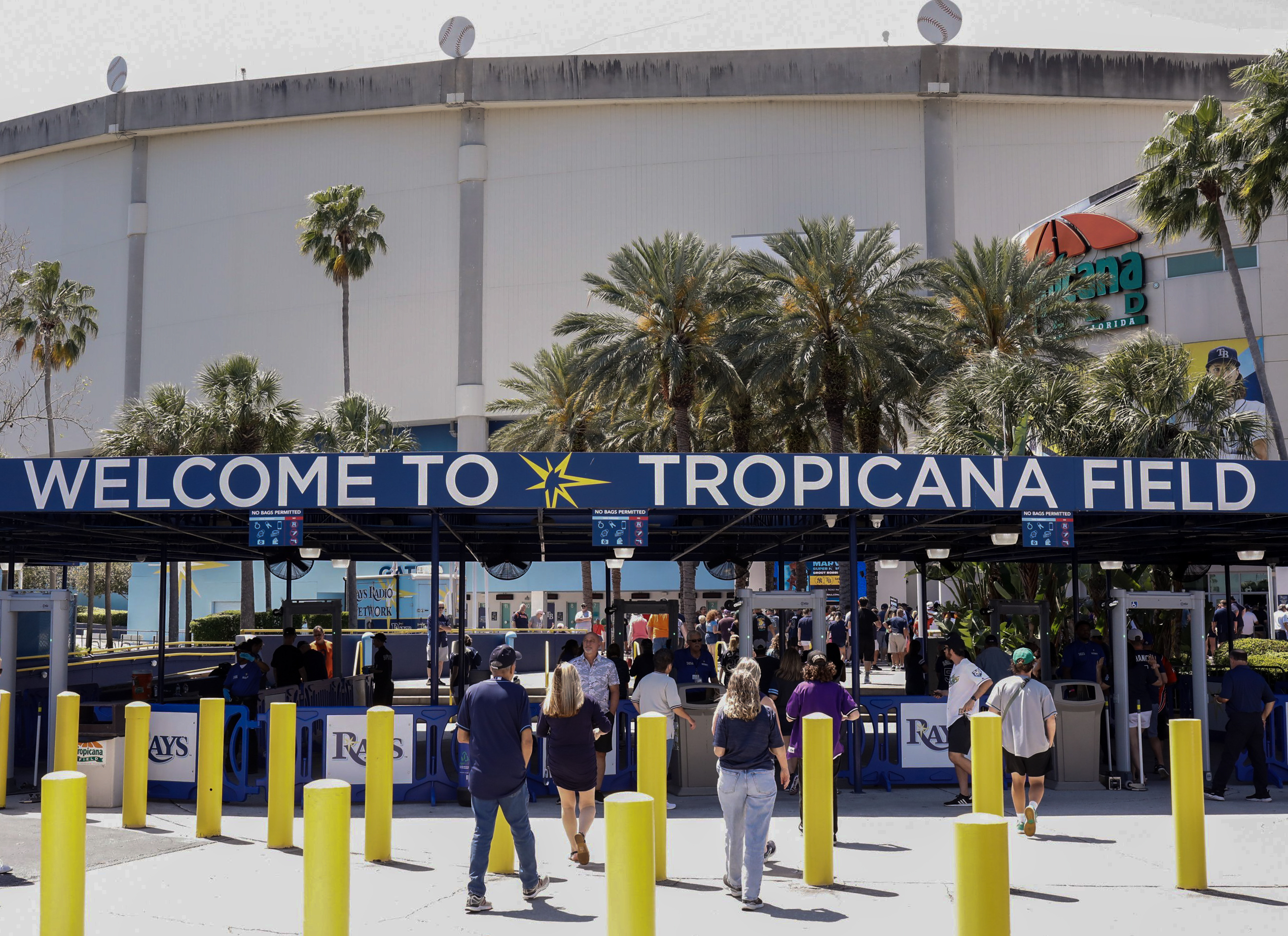 Tropicana Field: A local's guide to enjoying a trip to the home of